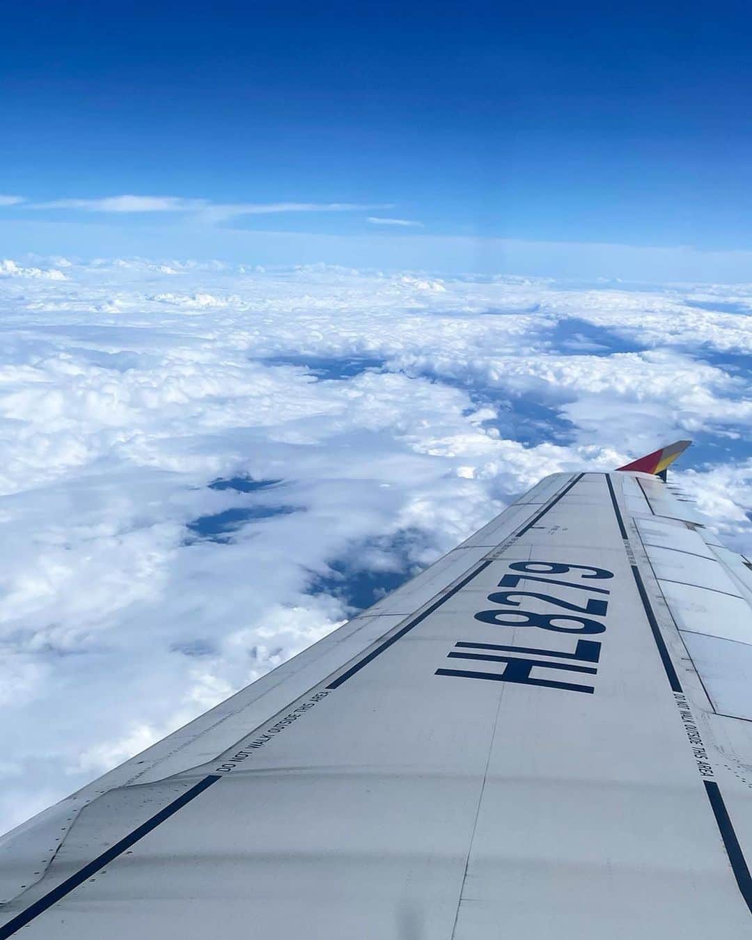 アシアナ航空日本地域公式アカウントのインスタグラム：「𝕒𝕤𝕚𝕒𝕟𝕒 𝕒𝕚𝕣𝕝𝕚𝕟𝕖 ✈️  ┈┈┈┈┈┈┈┈┈┈ 飛行機から見下ろす雲と主翼。 とっても美しい光景です。  アシアナ航空では 短距離路線でも機内食をお楽しみいただけます。 こちらの機内食はビビンバ！  撮影ありがとうございます！ 📸@x_x_miumiu_x_x   ┈┈┈┈┈┈┈┈┈┈   #アシアナ航空 #アシアナ #ASIANA #asianaair #asianaairline #OZ #Flyasiana #韓国 #korea #韓国旅行 #✈️#飛行機撮影  #飛行機のある風景 #飛行機写真 ♯機内食 #flyoz」