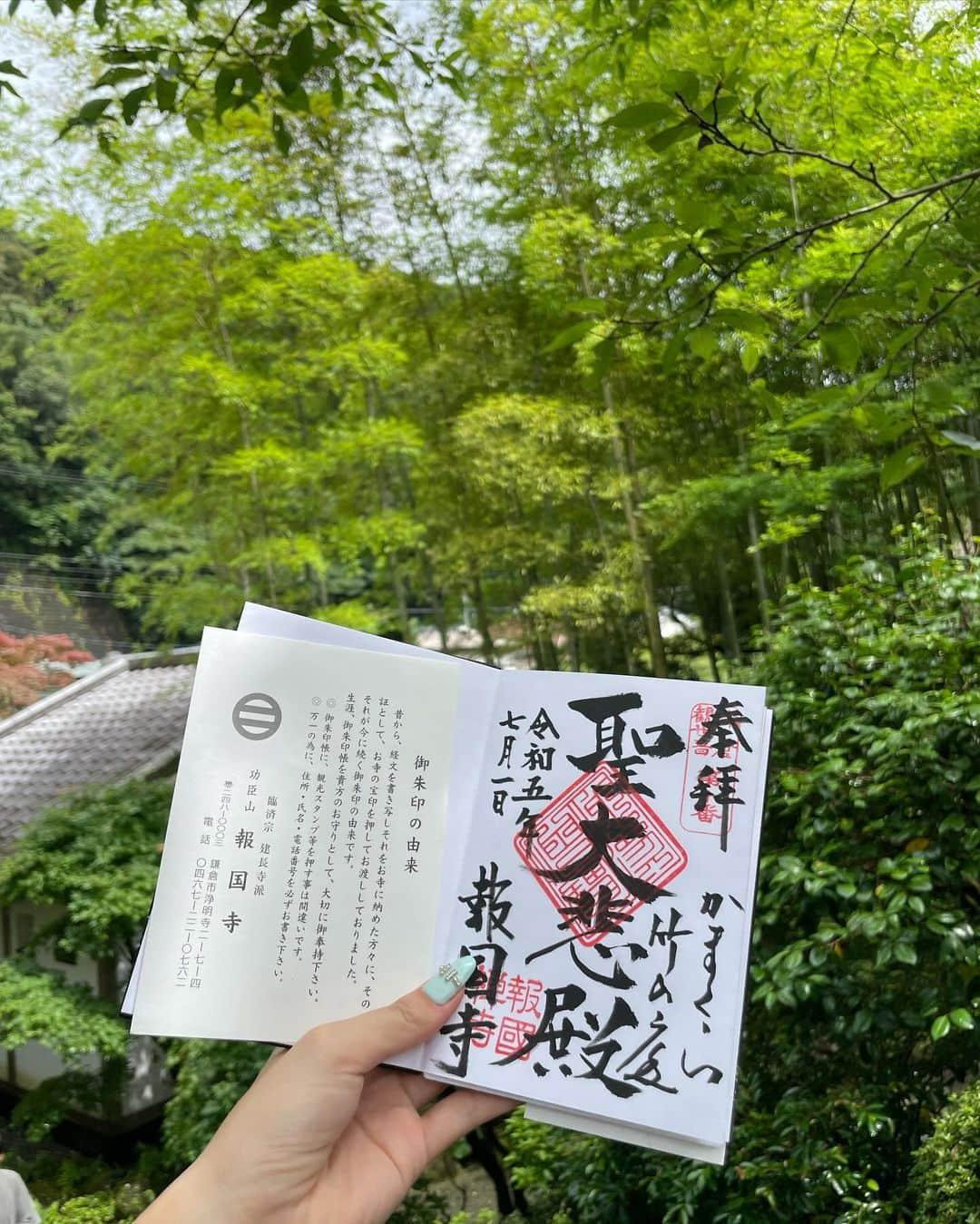 𝐊𝐎𝐘𝐔𝐏𝐈𝐏𝐈 さんのインスタグラム写真 - (𝐊𝐎𝐘𝐔𝐏𝐈𝐏𝐈 Instagram)「🎍⛩🍂  非日常空間竹林 … 💚   #鎌倉 #報国寺 #長谷寺 #御朱印 #御朱印巡り」10月31日 20時38分 - pipi____style