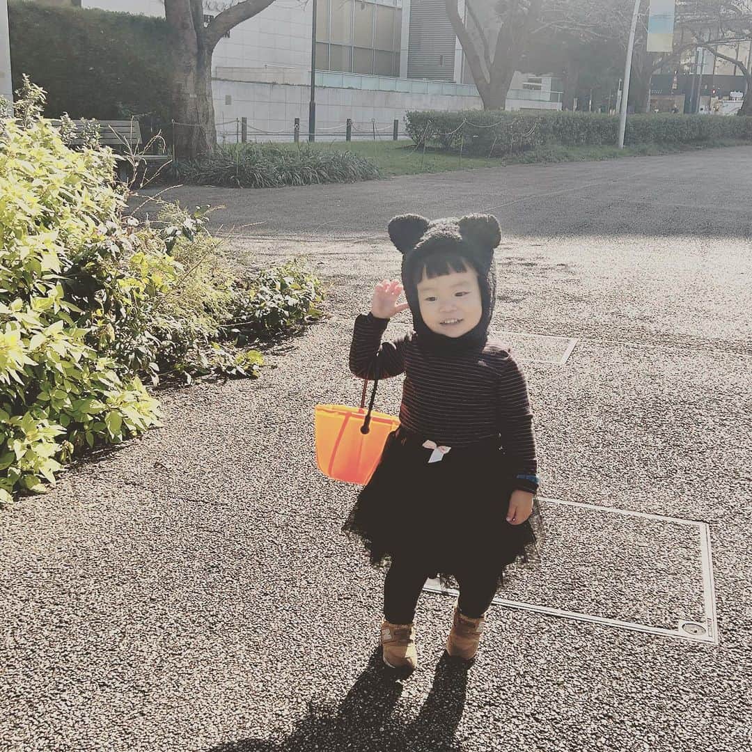 KIKIのインスタグラム：「保育園の運動会から お友だちとのピクニックへと流れて 遊び尽くした週末🧺🍾🎃👻 ハッピーハロウィン こんなふうに長閑に楽しめるのはいいね #くろねこしろねこ #うちのくろねこは観光客のアイドルに」