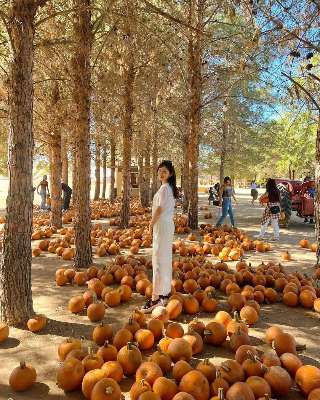 久慈暁子さんのインスタグラム写真 - (久慈暁子Instagram)「* 初めてのPumpkin Patch🎃🍂 ハロウィンの飾り付け用のかぼちゃが たくさん売られている場所です。 久しぶりに馬や牛、ロバに触れ合ったり とうもろこしの収穫後の藁でできた迷路 （コーンメイズ）があったり、 アメリカの秋を満喫しました🐴🌾🧡 持ち帰ったかぼちゃは リビングの一角に飾りました🎃 * #pumpkinpatch #Halloween #ハロウィン　 #arizona」10月31日 12時04分 - kuji_akiko