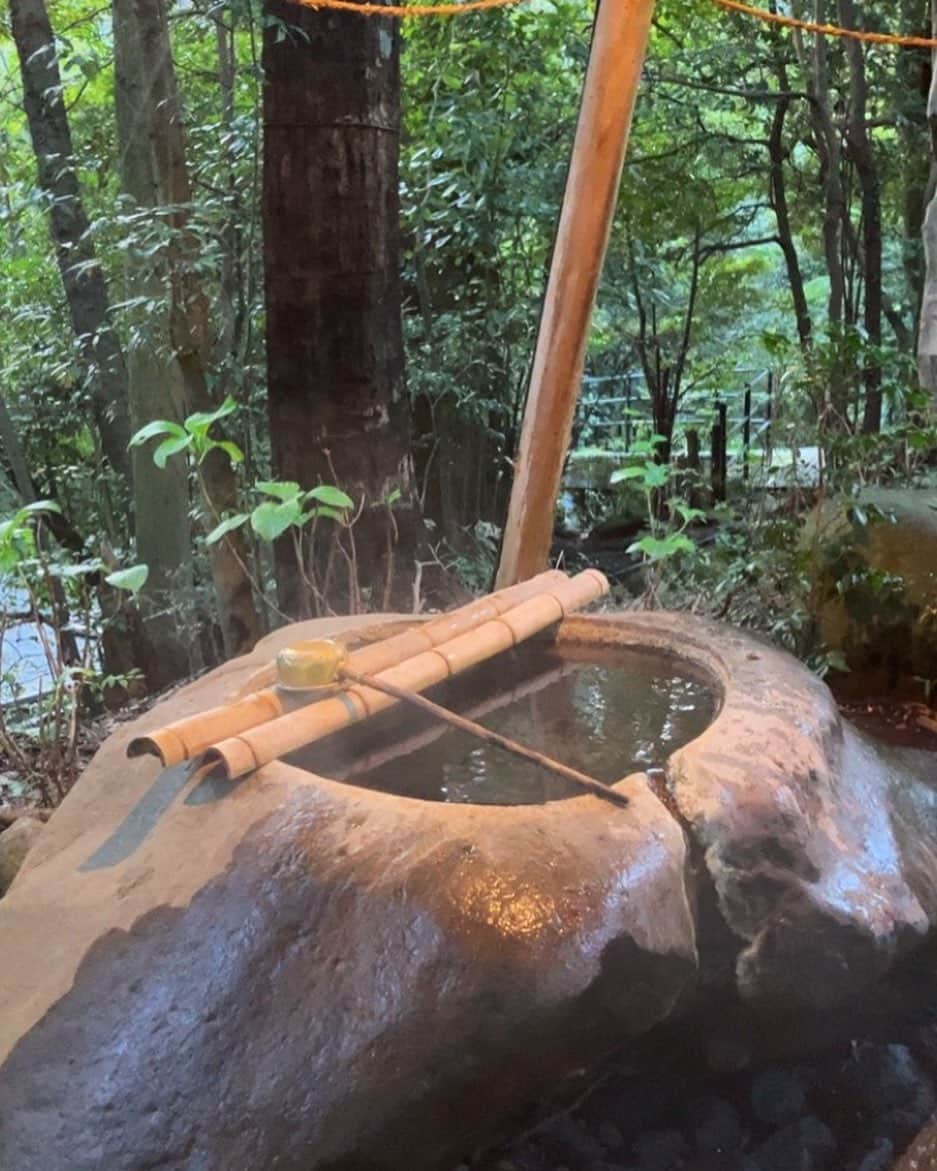 佐藤魁のインスタグラム：「神社に行ってきた 手水が温泉だった🥹 #hihonsugoi  1/4からwaiting期間に入る #backdoorshootout に向けてハワイに行ってきます！  liveURLできたら送ります 観たい方いたら連絡くれたら送れます🙇‍♀️  . .  滞ったシステム至る所にたくさんあるけど、まずは気づいて先人や歴史から学んで行動したい 良い本あったら教えてください😊」