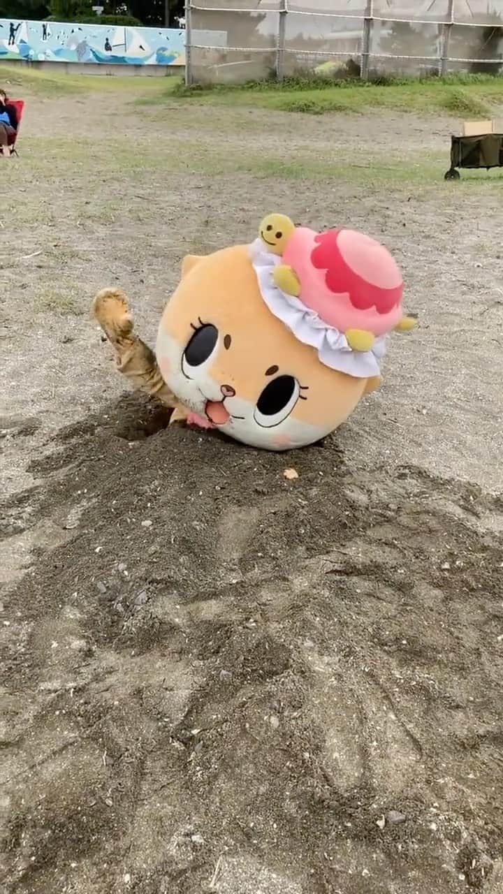 ちぃたん☆のインスタグラム