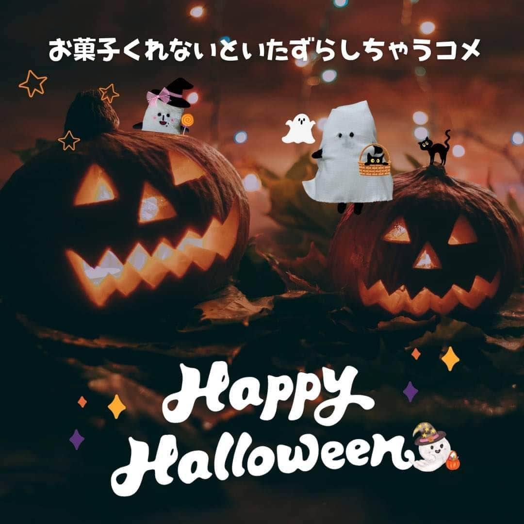 コメ助のインスタグラム：「.  ／ #お菓子 くれないと いたずらしちゃうコメ〜🥺🎃👻 ＼  コメ子と一緒に #仮装 してみたヨネ🧡 ぼくを見つけられるかな？🎃  みな産、 #ハッピーハロウィン 🎃💕  #HappyHalloween #トリックオアトリート #ハロウィン飾り #ハロウィンパーティー #ハロウィン仮装 #ハロウィンスイーツ #おばけ #ゆるキャラ #コメ助 #お米」