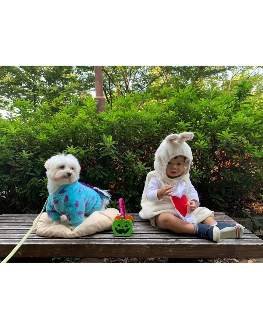 西澤由夏さんのインスタグラム写真 - (西澤由夏Instagram)「少し前に、 親友とハロウィンランチをした時の写真🎃  みんなで動物の仮装をしました🐈🐇🦕  #ハロウィン」10月31日 13時23分 - yknszw