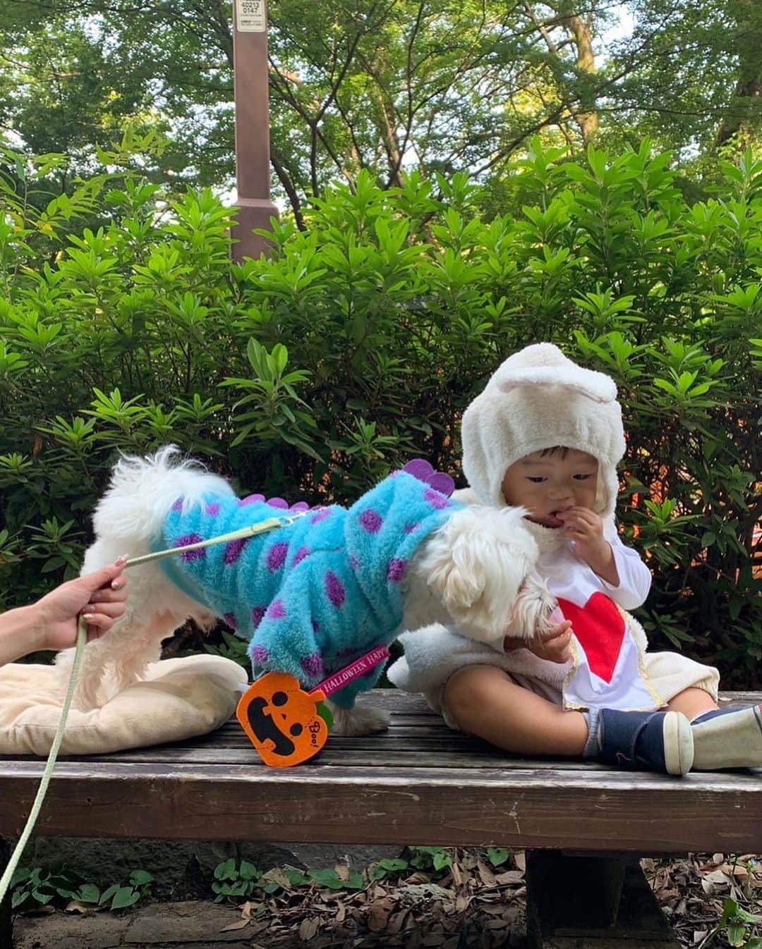 西澤由夏さんのインスタグラム写真 - (西澤由夏Instagram)「少し前に、 親友とハロウィンランチをした時の写真🎃  みんなで動物の仮装をしました🐈🐇🦕  #ハロウィン」10月31日 13時23分 - yknszw