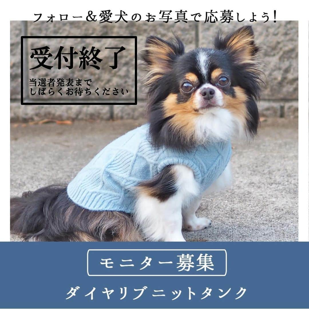 iDog&iCatのインスタグラム：「「ダイヤリブニットタンク」のモニター応募は10/30に終了いたしました。 #iDogモニター応募2023ダイヤリブニットタンク へのたくさんのご応募ありがとうございます。 これ以降のご応募は受け付けられませんのでご了承ください。  これよりエントリーいただいた皆様の投稿から、抽選を行います。 結果発表までの抽選期間中にアカウントを非公開にしたり、応募用の投稿を削除されるなど、ハッシュタグの中から投稿が消えてしまうと選考から除外されてしまいますのでお気をつけ下さい。  当選者発表までお楽しみに！  #IDOGICAT #idog #モニター募集 #お試し #犬服 #ペット」