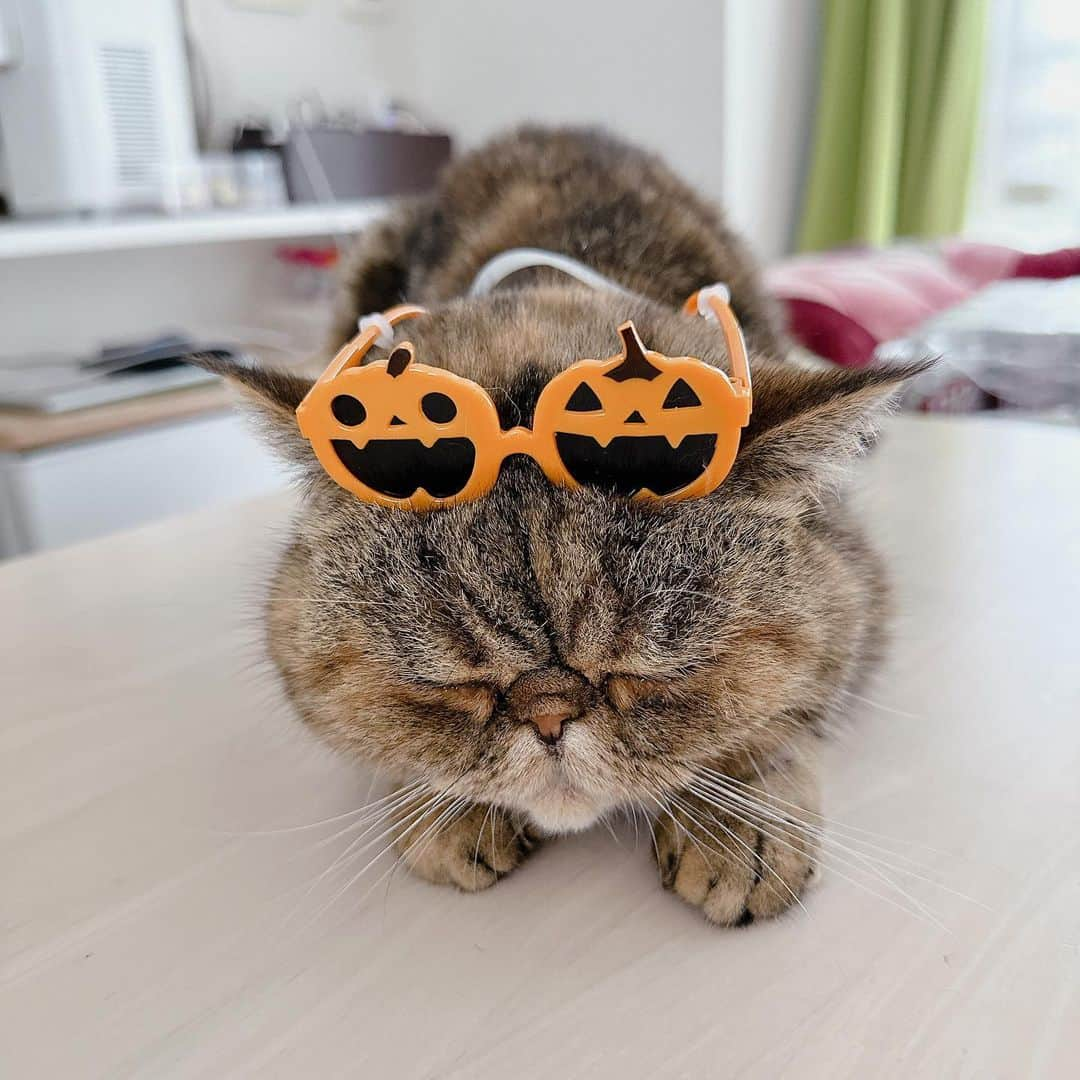 デカキンのインスタグラム：「ハッピーハロウィン🎃🎃👻👻🧟‍♂️🧟‍♂️✨✨  #ハロウィン #ハロウィンコスプレ」