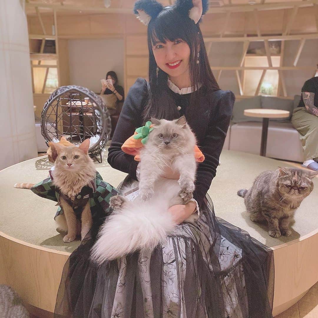 三浦泉のインスタグラム