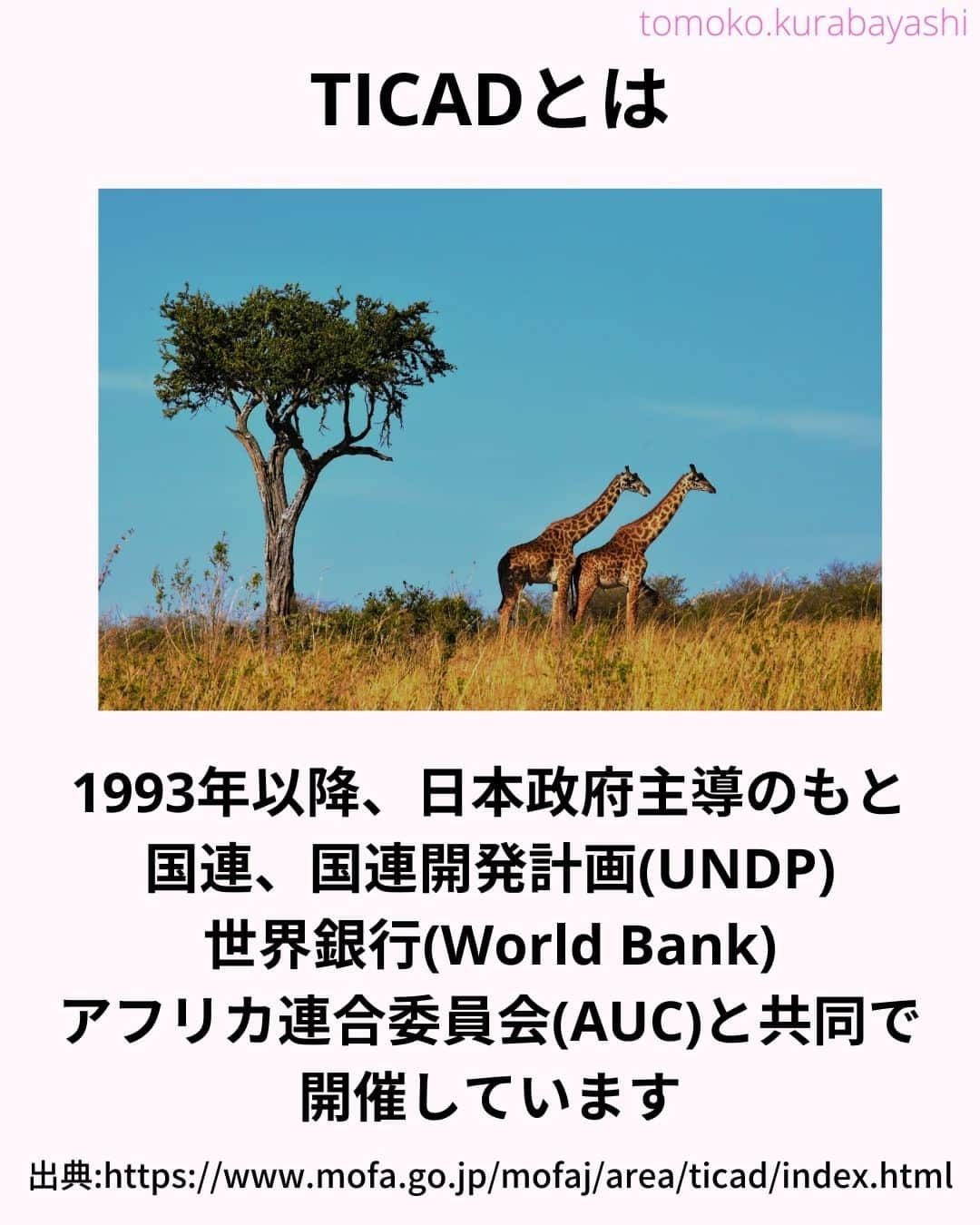 倉林知子さんのインスタグラム写真 - (倉林知子Instagram)「今日から3日間はTICADについてお届けします。 初日の今日はTICADの基本情報です。  ❁.｡.:*:.｡.✽.｡.:*:.｡.❁.｡.:*:.｡.✽.｡.:*:.｡. ❁.｡.:*:.｡.✽.｡.: SDGsアナウンサーとして 主にSDGs関係の情報発信をしています→@tomoko.kurabayashi  オフィシャルウェブサイト(日本語) https://tomokokurabayashi.com/  Official website in English https://tomokokurabayashi.com/en/  🌎️SDGs関係のことはもちろん 🇬🇧イギリスのこと (5年間住んでいました) 🎓留学、海外生活のこと (イギリスの大学を卒業しています) 🎤アナウンサー関係のこと (ニュースアナウンサー、スポーツアナウンサー、プロ野球中継リポーター、アナウンサーの就職活動、職業ならではのエピソードなど)etc  扱って欲しいトピックなどありましたら気軽にコメントどうぞ😃 ❁.｡.:*:.｡.✽.｡.:*:.｡.❁.｡.:*:.｡.✽.｡.:*:.｡. ❁.｡.:*:.｡.✽.｡.: #イギリス #留学 #アナウンサー #フリーアナウンサー #局アナ #バイリンガル #マルチリンガル #英語 #フランス語 #SDGsアナウンサー #SDGs #アフリカ　#TICAD」10月31日 15時21分 - tomoko.kurabayashi