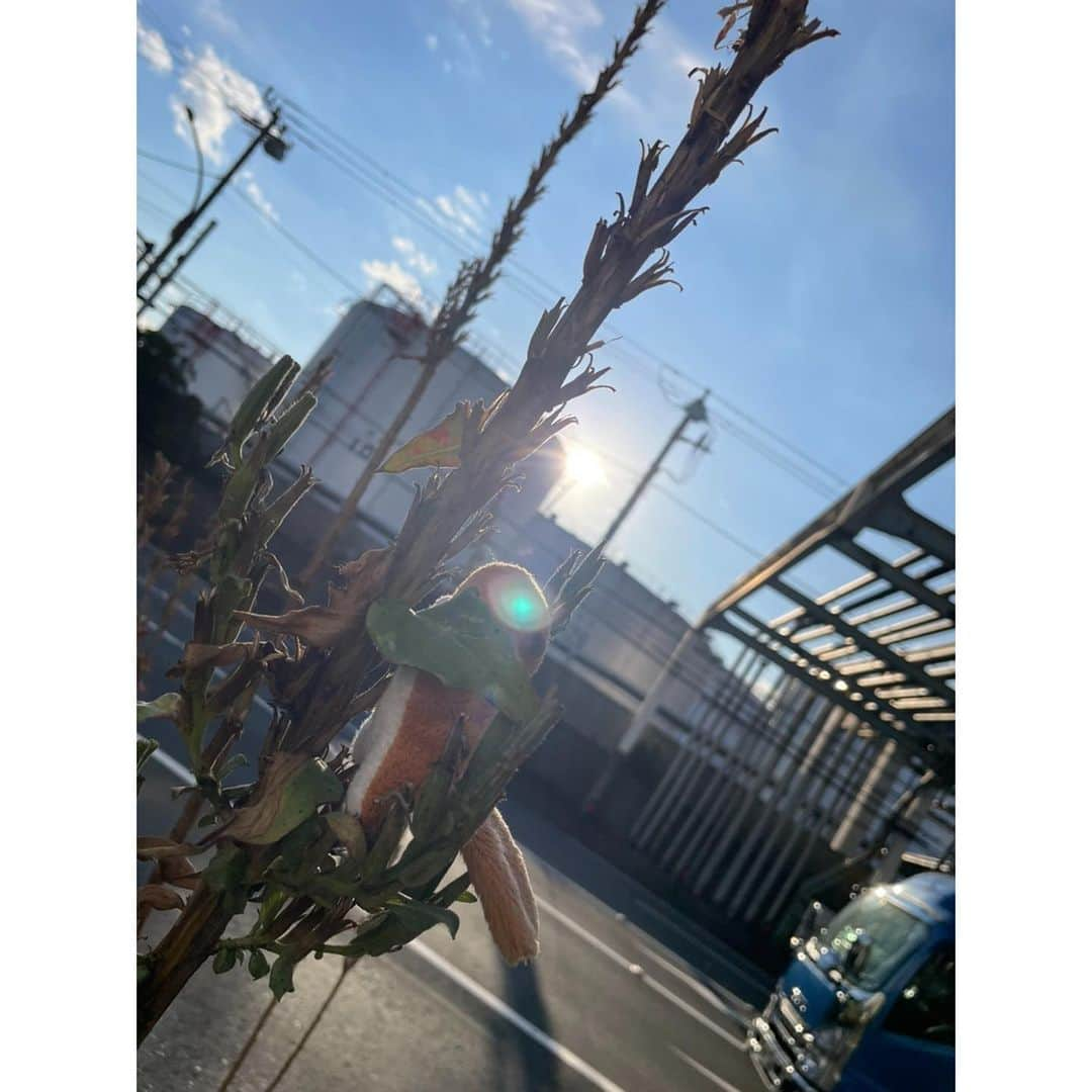 羽生アリサさんのインスタグラム写真 - (羽生アリサInstagram)「最近☺️🌿🤍☀️  嬉しい楽しい気持ちい美味しいでいっぱい感謝🙏🙌😆💘  #最近の羽生さん」10月31日 15時39分 - arisa_hanyu