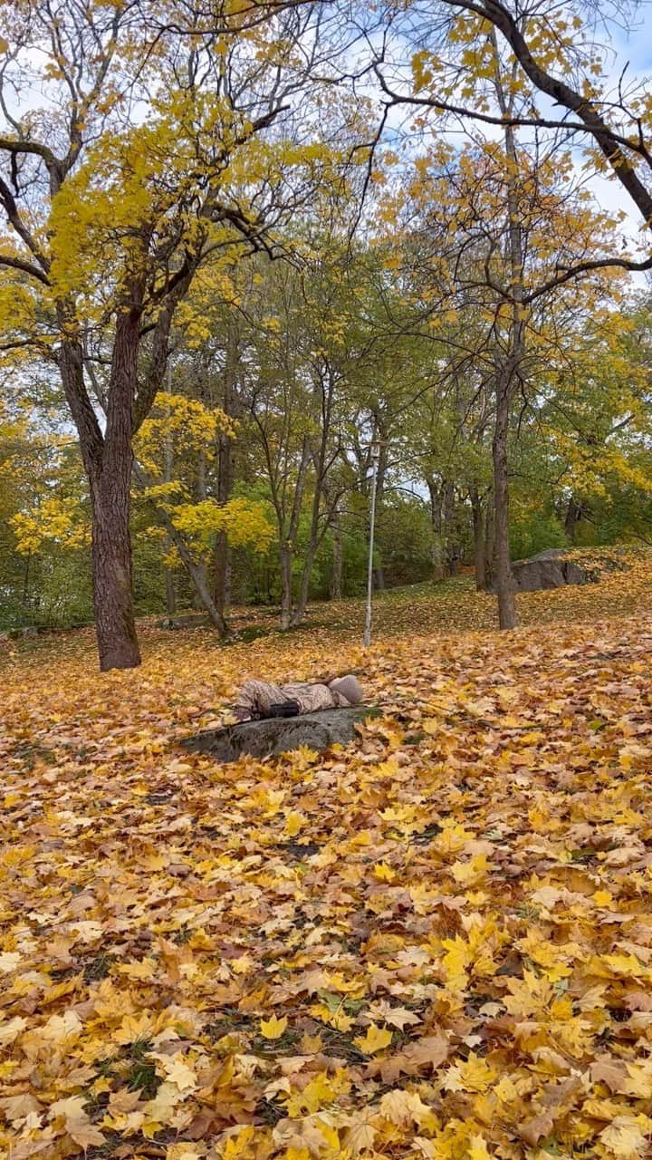 スオミの旦那と一生一笑のインスタグラム：「秋だね〜🍁紅葉を楽しもうと、トゥルクの街中にある公園へお散歩に行ってきました☺️   「落ち葉のベッドがあるね〜」と言ってたら、寝たり転がりまわって遊んでいる息子！いいね〜！大人になったらそんなことなかなかできないから、今のうちだ〜🍁  私も、そこで寝てみたい。笑  #公園あそび #息子 #2歳 #落ち葉 #フィンランド #紅葉」