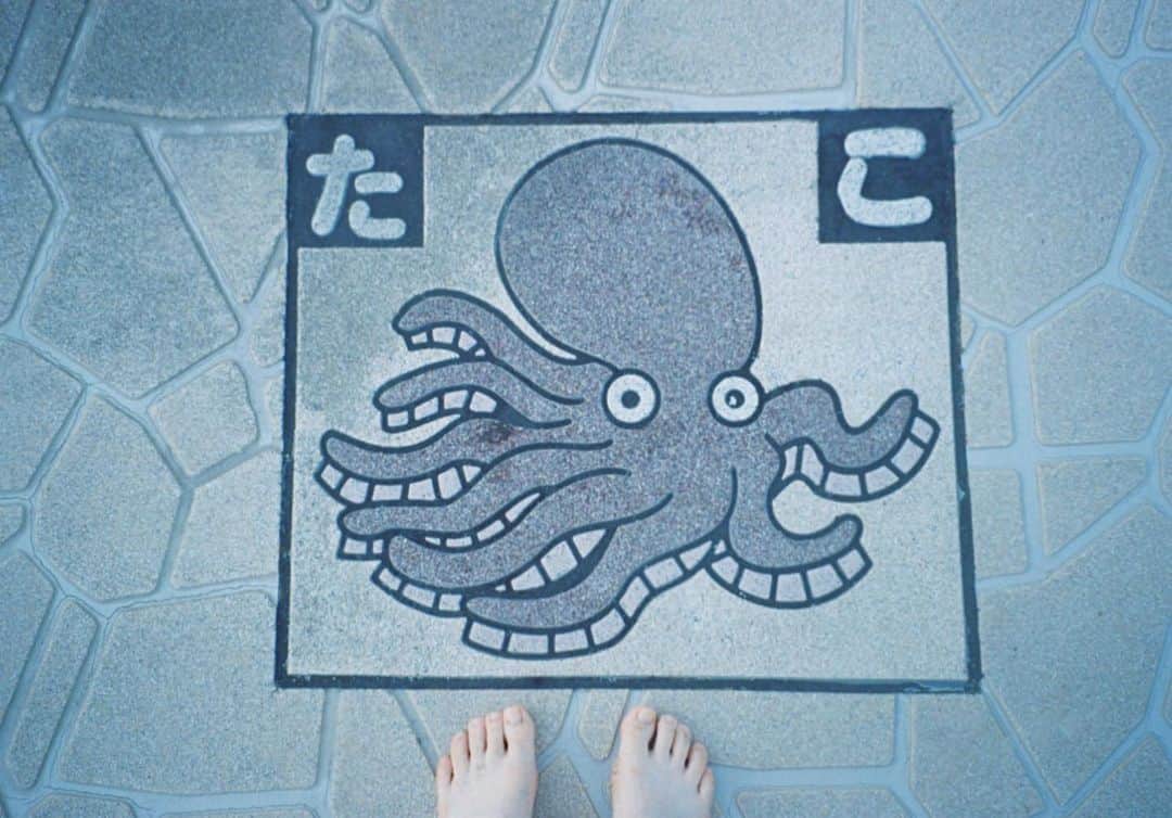 のインスタグラム：「ふらり淡路島の続き🐙  #麻絵カメラ #フィルムカメラ」