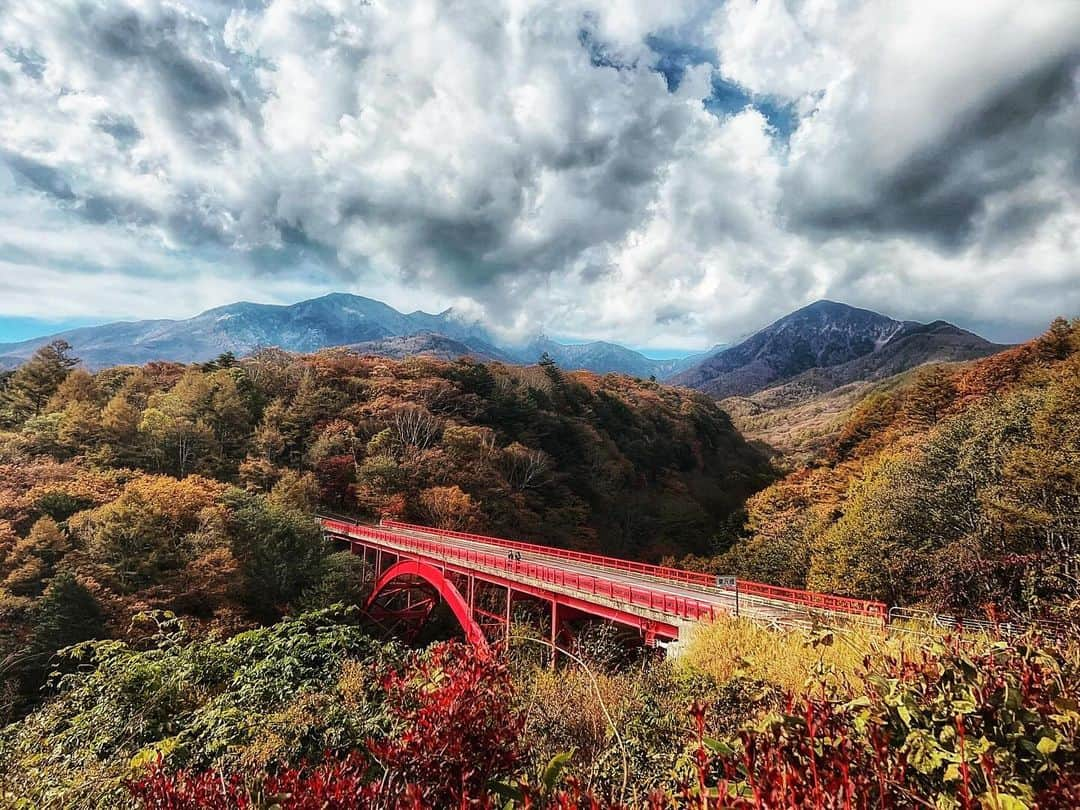 根本美緒さんのインスタグラム写真 - (根本美緒Instagram)「ゆうこりんが撮ってくれた山梨の紅葉🍁✨美しすぎてます‼️YouTubeでたっぷり見られますので、今の状況是非確認して下さい😆❣️山梨県の北杜市の方面です。  https://youtu.be/Xzuv6NxRyHQ  今年は暖かいので色付きが遅いという話がありますが、皆様の地域はいかがですか？ 東京は全然。ギンナンは落ちてますけど！  #ミヤネモちゃんねる #youtube #山梨観光 #紅葉 #紅葉スポット #山梨紅葉 #北杜市 #宮本裕子 #三桂」10月31日 16時22分 - nemotomio.official