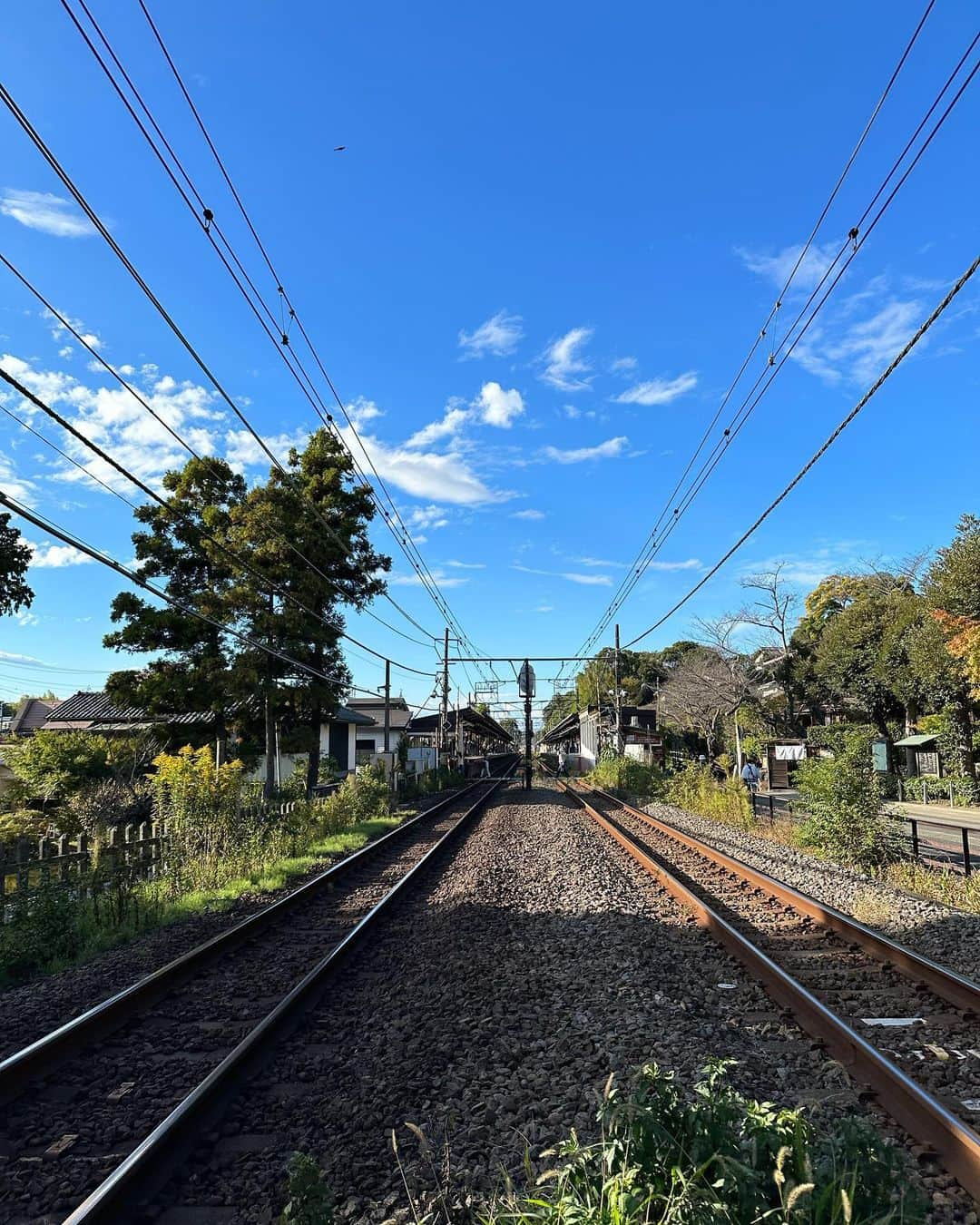 榊いずみのインスタグラム：「10/29（日）満月夜話。  このライブは、中島瞻風先生の書道のお稽古で、北鎌倉にある円覚寺の龍隠庵にお邪魔した時から始まりました。円覚寺の中でも龍隠庵は高台にあって、お庭から境内の眺めがとても美しく場所。  ここでライブが出来ませんか？  思い切って龍隠庵・太田周文ご住職にお願いしたところ、快く「いいよ！」とお返事をいただいたのです。  歴史的な名刹である円覚寺でライブ。快諾していただいた後から、初めて事の重大さをひしひしと感じる！  手作りの、でも月を眺めたりする豊かな時間を皆さんと共有出来る空間を作りたい！  最初に溝口実穂ちゃんに声をかけてみました。実穂ちゃんは、予約を取るのが至難の業、菓子屋ここのつ @_____9__ をひとりで切り盛りしている尊敬する友達。彼女のアーティスティックなお菓子に夢中のファンであるわたしは、満月夜話を素敵にしてくれるお菓子をお願いしました。実穂ちゃんもふたつ返事で「楽しそう！やりましょう」って応えてくれました。  そして今回のきっかけを作ってくれた中島瞻風先生 @sempu_nakajima 。 「いずみちゃんが龍隠庵でライブをやるなら、わたしも一肌脱ぎます！」と、とても大きな紙に、ライブペインティングしてくださることになりました。  なんて素晴らしい会！ 鳥肌もの！  ご住職は満月の美しいしつらえを整えてくださったり、設備を新しくしてくださったり、60年ぶりの弁天様のお祭りがある日と重なったことで起こった難しい事柄を、淡々と交渉してくださいました。  音響を担当してくれたのは、いつもがっつり信頼しているcrotchetのスタッフ、MANさん、鶴田さん、莉於くん。  先生の映像や照明は、重ちゃんチーム。前日の搬入から色んな場所決めや照明、一緒に決めてくれてありがとう！  書道会の皆さんは先生のお手伝い、皆さんにお茶やお菓子をお持ちする、龍隠庵の道案内、細やかな気遣いなど、本当にたくさんのことを担当して下さいました。  前日の搬入時に龍隠庵に偶然いらっしゃった皆さんも、椅子を並べたり拭いていただいたり、快くお手伝いしてくださいました。皆さん、本当に気持ちが美しい。龍隠庵ならではですね。  全ての縁ある皆さんの温かい心意気を受けて、満月夜話を素晴らしいものにしよう！と心に決めたのでした。  写真　溝口実穂　和-IZUMI-  #和izumi #橘いずみ #榊いずみ #満月夜話 #北鎌倉円覚寺 #龍隠庵 #溝口実穂 #中島瞻風 #満月 #お月見ライブ #書斎」