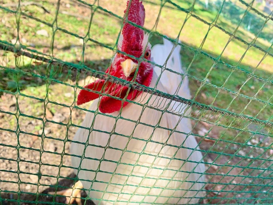 たけるさんのインスタグラム写真 - (たけるInstagram)「佐賀県の三瀬村へ行ってきました🙌・ ・ ヤマメ釣りに椎茸狩り、木の温もりを感じまくりのコテージ。・ ・ サクッと行けて、自然の中で家族や友達と素敵な思い出作りが出来る遊びスポット、是非オンエアでお確かめ下さい🤩 #そして今日もしおりちゃんは軟体動物でした ・ ・ ・ #山あそび #みみよりサタデイ #TVQ #ロケ #坂井汐梨 さん  #TAKERU #たける #不動たける #ボイジャー #ウルトラマン #エントリーサービスプロモーション」10月31日 16時48分 - take_yan78