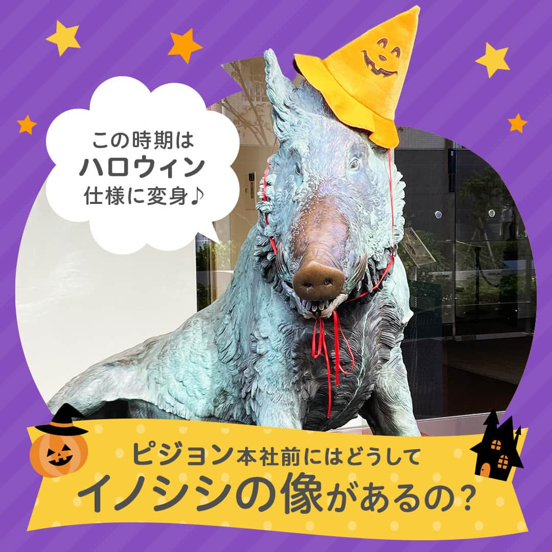 ピジョンのインスタグラム：「🎃今日はハロウィン🎃 すっかり日本でもハロウィンがイベントの定番になりましたね🎉  ピジョンの本社前に鎮座しているイノシシ像🐗もハロウィン🎃のとんがり帽子をかぶっております✨  この猪は「幸運を招く猪」といわれる彫像で、 １７世紀イタリアの彫刻家ピエトロ・タッカによる作品の複製です。 本物はイタリア🍝の古都フィレンツェの広場に置かれています。  イノシシ像🐗を設置した理由は二つありました。 ひとつは、「幸運を招く」とされる像を通して、 赤ちゃんの幸せを願うピジョンの想いを多くの皆様にお伝えし、 かわいがっていただきたいと考えたこと。 ふたつめは、猪🐗は「猪突猛進」という言葉があるほど威勢のよい動物ですが、 その繁殖力もたいしたもので、 １度のお産で３頭～１２頭もの子宝👶に恵まれるからです。 育児用品🍼を主体としたピジョンにはとても頼もしい、 お守りのような存在といえます。  ピジョンの「幸運を招くイノシシ像🐗」は、 鼻先をなでると金運🥇、縁談🙌、子宝👶などに恵まれるとされ 多くの方々に親しまれ、 今では鼻先がピカピカ✨になっています。 これからも皆様に可愛がっていただければ幸いです❤  なお池の中に投げ入れられたお金⛲💰は社会福祉団体に寄付しております🙌  #ピジョン #ピジョン本社 #会社紹介 #イノシシ #ポルチェリーノ #ポルチェリーノ像 #馬喰横山 #馬喰町 #東日本橋 #人形町 #ハロウィン」