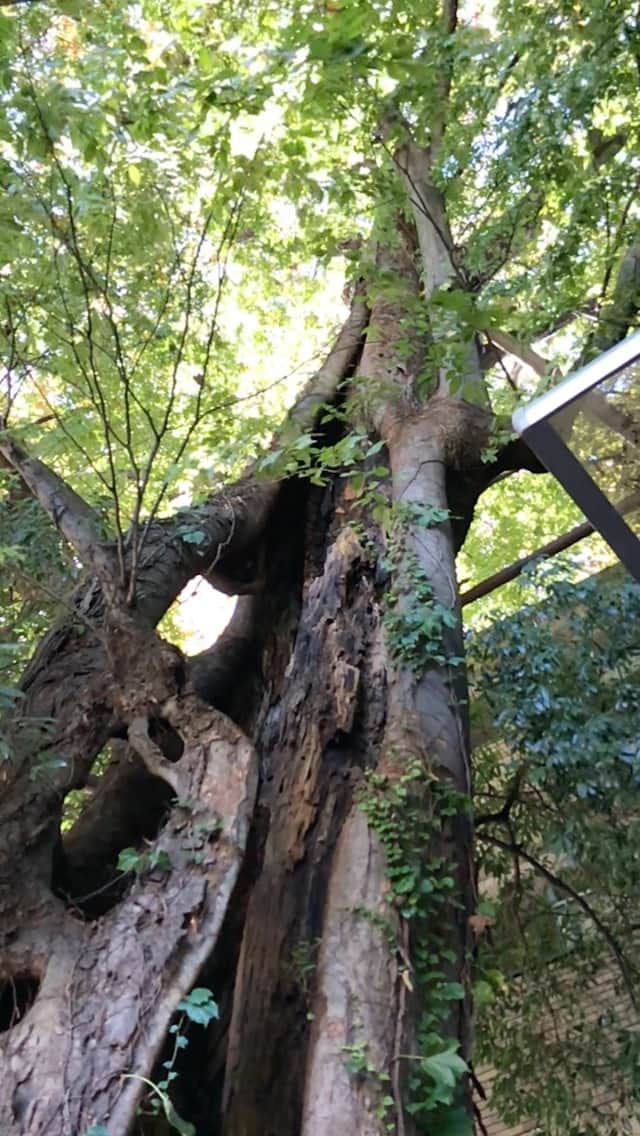 尾木直樹のインスタグラム