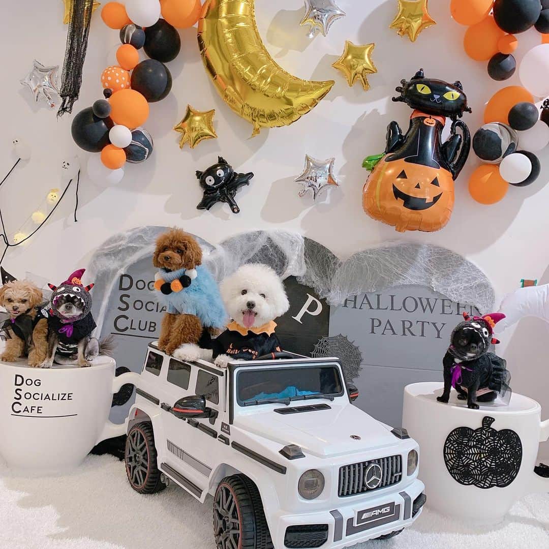 真樹麗子のインスタグラム：「✨🎃Happy Halloween🎃✨  #happyhalloween 2024」