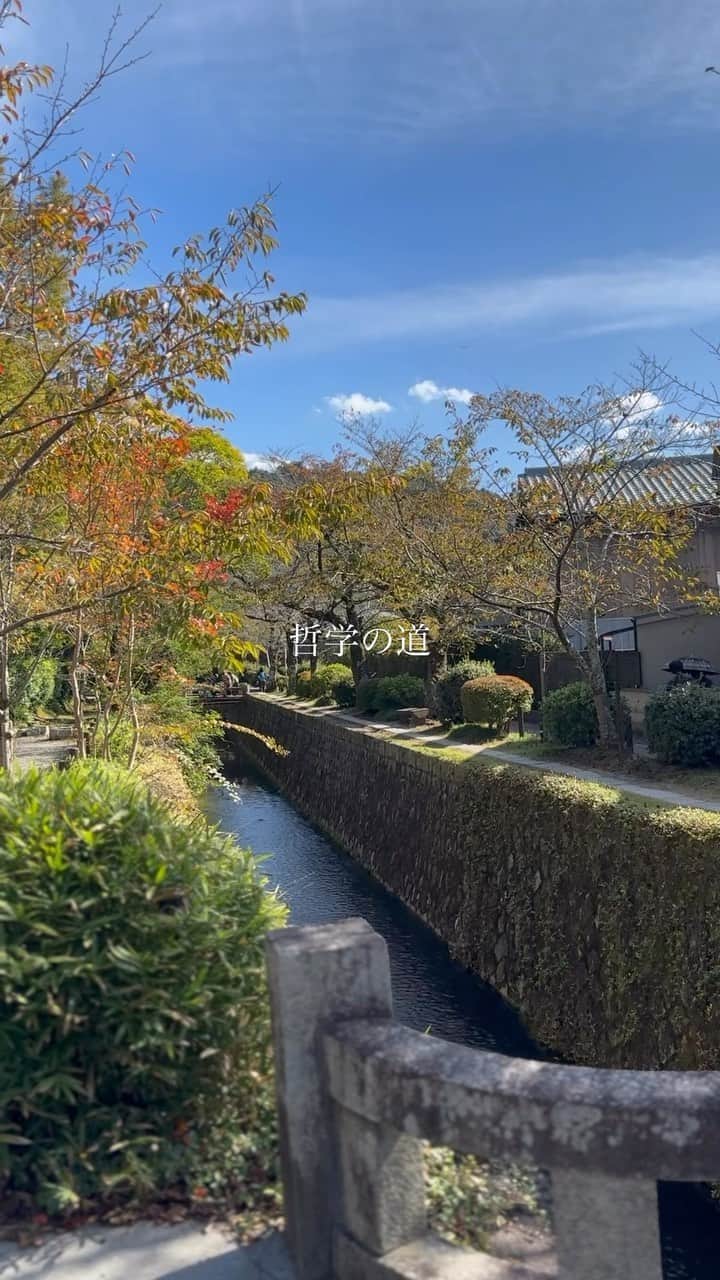 エミ ペインのインスタグラム：「銀閣寺〜哲学の道〜平安神宮までを 散歩  写真とか動画撮りながらゆーっくり歩いて 2時間くらいやった🚶  久しぶりに哲学の道歩いてみたら 可愛いお店や素敵なカフェがいーっぱい出来てた♡  #京都 #哲学の道  #kyoto」