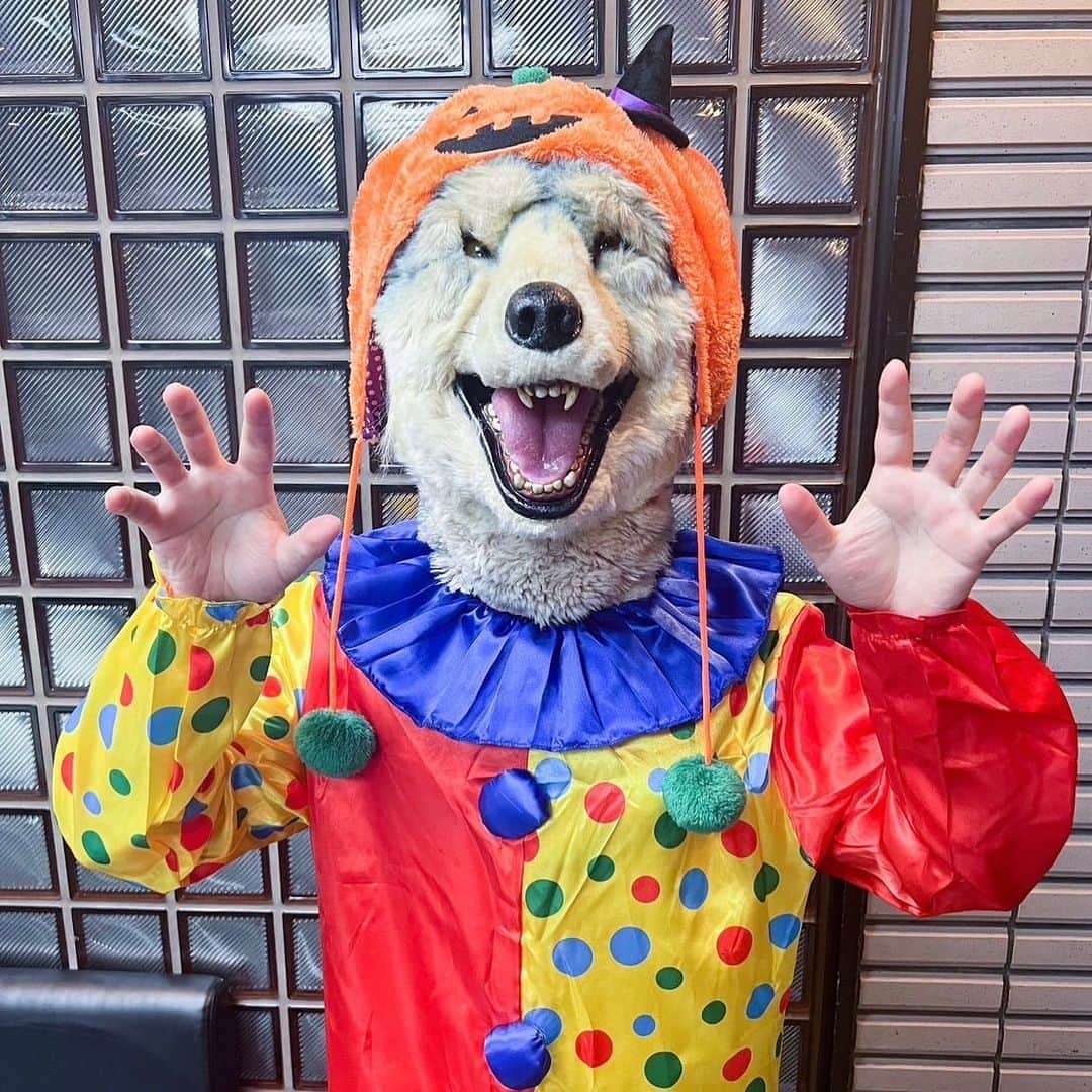 Man With A Missionのインスタグラム：「Happy Halloween from MWAM 👻🎃🙌 We hope you have the most Wolf-tastic day 🐺  #mwam #halloween #pumpkin」