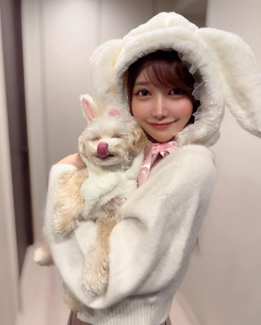 MAYUさんのインスタグラム写真 - (MAYUInstagram)「. 💖🎃 Happy Halloween 🎃💖 . きなちゃんとお揃いの白うさぎになったよ🐰🎀🤍 簡単な被り物しただけだけど、ハロウィン気分を味わえた☺️ . . #ハロウィン#halloween#ちわぷー#チワプー#チワプー同好会#chihuapoo#Chihuahua#poodle#poodlemix#mix犬」10月31日 17時46分 - mayu.kina_golf