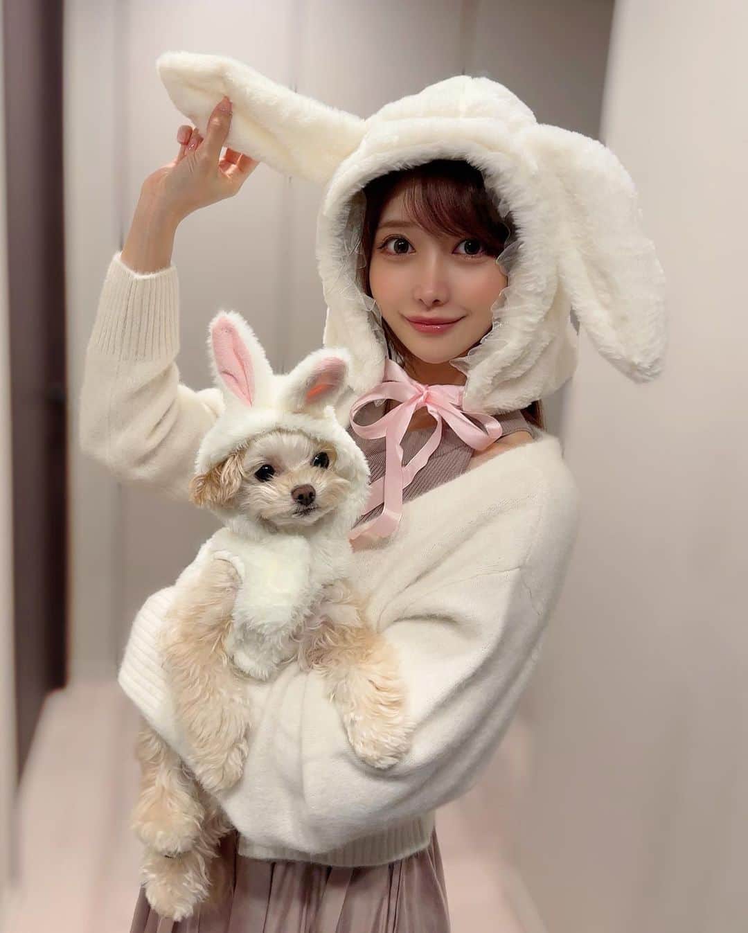 MAYUさんのインスタグラム写真 - (MAYUInstagram)「. 💖🎃 Happy Halloween 🎃💖 . きなちゃんとお揃いの白うさぎになったよ🐰🎀🤍 簡単な被り物しただけだけど、ハロウィン気分を味わえた☺️ . . #ハロウィン#halloween#ちわぷー#チワプー#チワプー同好会#chihuapoo#Chihuahua#poodle#poodlemix#mix犬」10月31日 17時46分 - mayu.kina_golf