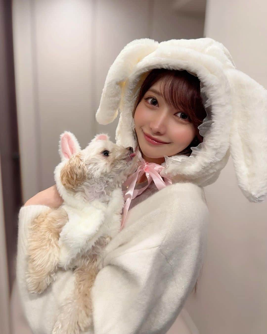MAYUさんのインスタグラム写真 - (MAYUInstagram)「. 💖🎃 Happy Halloween 🎃💖 . きなちゃんとお揃いの白うさぎになったよ🐰🎀🤍 簡単な被り物しただけだけど、ハロウィン気分を味わえた☺️ . . #ハロウィン#halloween#ちわぷー#チワプー#チワプー同好会#chihuapoo#Chihuahua#poodle#poodlemix#mix犬」10月31日 17時46分 - mayu.kina_golf