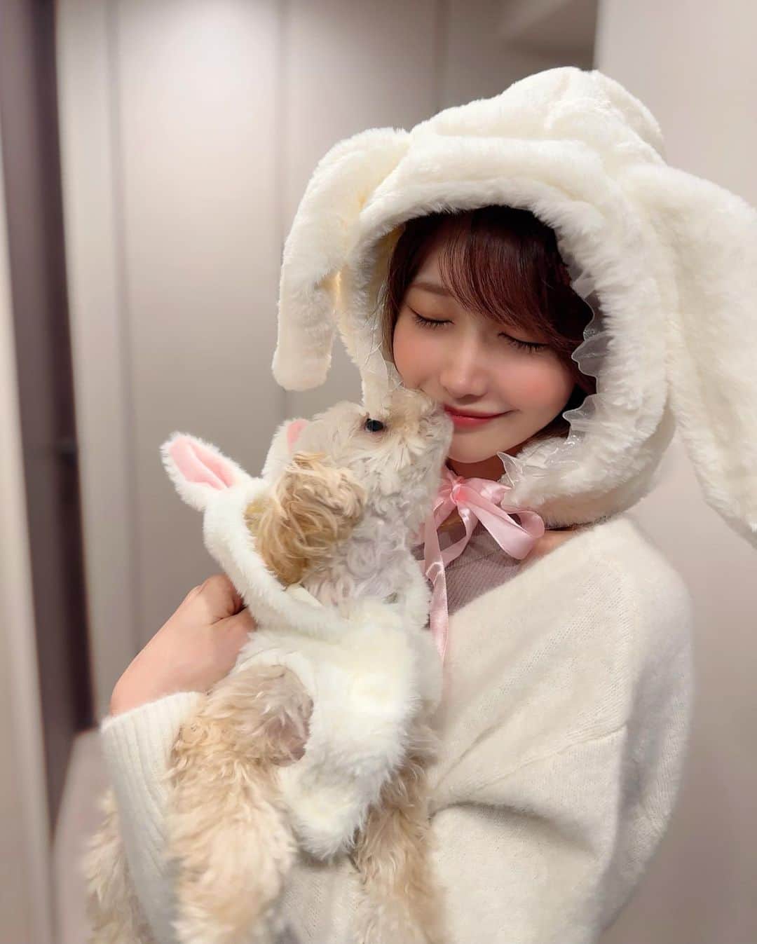 MAYUさんのインスタグラム写真 - (MAYUInstagram)「. 💖🎃 Happy Halloween 🎃💖 . きなちゃんとお揃いの白うさぎになったよ🐰🎀🤍 簡単な被り物しただけだけど、ハロウィン気分を味わえた☺️ . . #ハロウィン#halloween#ちわぷー#チワプー#チワプー同好会#chihuapoo#Chihuahua#poodle#poodlemix#mix犬」10月31日 17時46分 - mayu.kina_golf