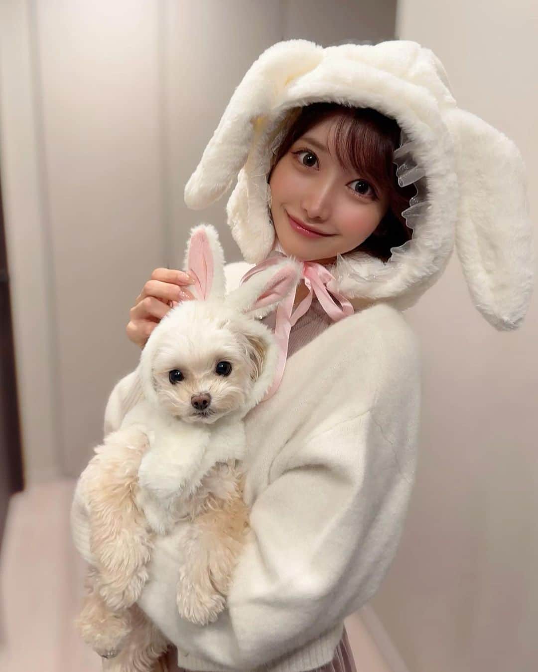 MAYUさんのインスタグラム写真 - (MAYUInstagram)「. 💖🎃 Happy Halloween 🎃💖 . きなちゃんとお揃いの白うさぎになったよ🐰🎀🤍 簡単な被り物しただけだけど、ハロウィン気分を味わえた☺️ . . #ハロウィン#halloween#ちわぷー#チワプー#チワプー同好会#chihuapoo#Chihuahua#poodle#poodlemix#mix犬」10月31日 17時46分 - mayu.kina_golf