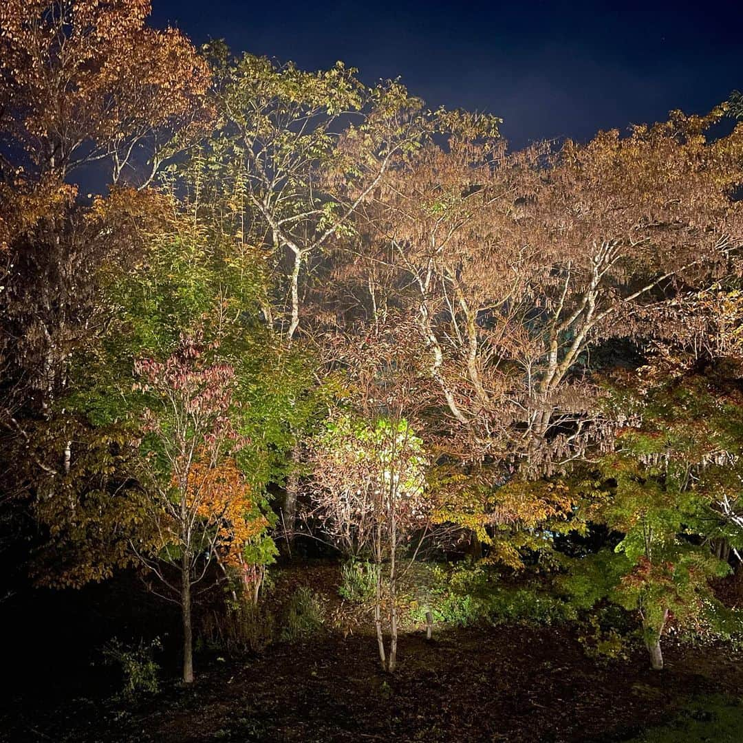 福西崇史のインスタグラム：「. Happy Halloween🎃 . 10月も終わり、もう今年ももう少し…🍂 . エンジョイでポジティブにいきましょう🤣 . #happyhalloween #エンジョイ #ポジティブ #大好きな秋 #時がたつのが早い #紅葉🍁」