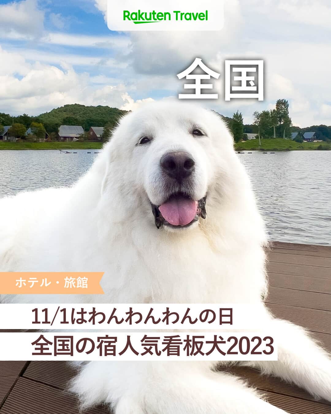 のインスタグラム：「投稿を保存して見返してね😊 毎日おすすめの観光スポットやホテルを紹介している 楽天トラベル💚 👉@rakutentravel  ーーーーーーーーーーーーー  11/1が犬の日ということで看板犬ランキングの結果発表をしたいと思います🐶🎉 看板犬のいる宿泊施設は、ペットと宿泊できる宿も多いので愛犬との旅先にもおすすめです💕🐕‍🦺 #看板犬ランキング   ーーーーーーーーーーーーー  1位：ジーナ（エンゼルフォレスト白河高原） 2位：こなす（那須温泉 ホテルエピナール那須） 3位：ステラ（水上温泉 ペンション 朝ねぼう） 4位：エマ（西発哺温泉ホテル） 5位：まめ太郎（おごと温泉 暖灯館 きくのや）  ーーーーーーーーーーーーー  #rakutentravel をつけて投稿してくだされば、 あなたの撮った写真が楽天トラベルアカウントに掲載されるかも👀 旅の計画に夢中になれるインスタマガジン👜 楽天トラベルをフォローして理想の旅をみつけてね🛫@rakutentravel いってみたいと思った人は気軽にコメント欄にスタンプ送ってね💕  ーーーーーーーーーーーーー」