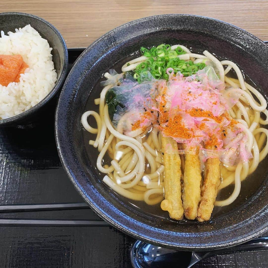 タダスケさんのインスタグラム写真 - (タダスケInstagram)「10月の麺活🍜  1.博多だるま総本店 2.一蘭 福岡空港店 3.ラーメン海鳴 福岡空港店 4.広島げんこつラーメン 広島激辛つけ麺 5.基山ラーメン 基山PA 6.津山ラーメン 勝央SA 7.美東ごぼううどん 美東SA  とんこつラーメン食べんと帰れへん！て事で、福岡泊まりで飛行機で帰る事にしました。  地元民が行きそうな所に行くぞ！ 事前に調べたラーメン屋に向かったのですが満席…待てないので移動。  彷徨ってる最中に博多だるまの総本店がありました。 有名な店やし、ここも満席やろな〜と…ダメ元で覗くと、空いてる席がちらほらあったので入店！  注文したら速攻でラーメンが出てきました。 とても濃くて、熱々で食べたいと思ってた豚骨ラーメンの味で美味しかったです🍜  翌日は飛行機で帰るだけ…な訳がなく。 福岡空港ラーメン滑走路に着陸しに行きました。 ラーメン海鳴で朝ラーメン、魚介豚骨が最高でした🐟  残って良かったな〜と飛行機の搭乗口に進んで行くと、一蘭がありました。  「そう言えば、一蘭は何年も食べてへんな…」  入店。  安定の美味しさ、初めて一蘭のラーメンを食べたのが18才の時でした、しかも福岡。  朝ラーメンハシゴしたのは初めてでした🍜  #noah_ghc #prowrestling #prowrestler #プロレス #ラーメン #豚骨ラーメン #広島つけ麺 #魚介豚骨 #うどん」10月31日 18時00分 - yoshidatadasuke