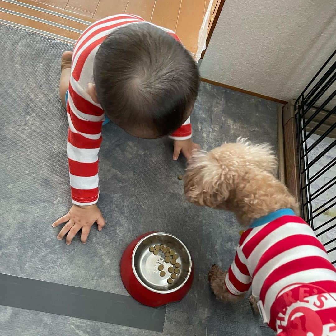  如月 みうさんのインスタグラム写真 - ( 如月 みうInstagram)「ウォーリー2人みつけました❣️👓 どっちも我が家にいました☺️探したよぉ〜😵‍💫」10月31日 18時12分 - miu_k123