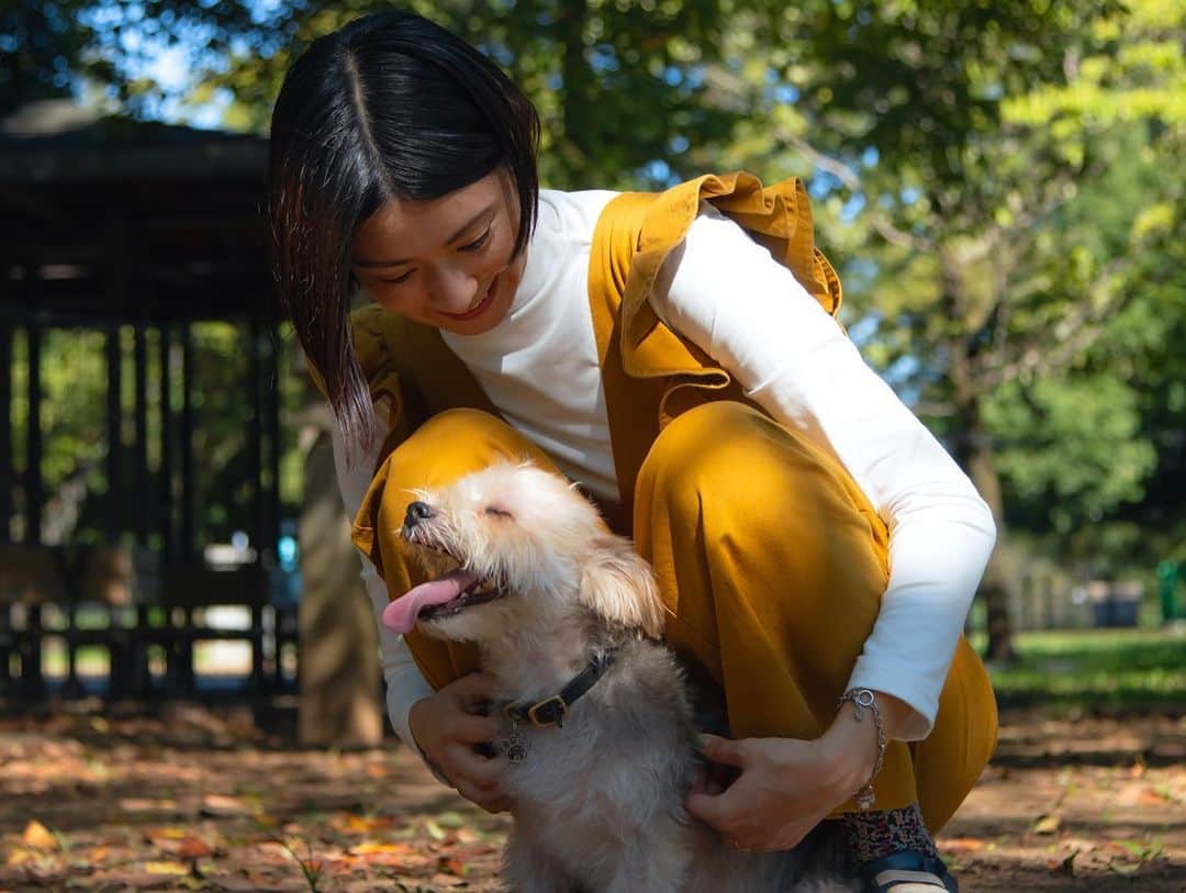 渡辺早織さんのインスタグラム写真 - (渡辺早織Instagram)「朝日新聞デジタル&M 『渡辺早織の思い出ちょっぴり、つまみぐい。』 執筆記事が公開されました。  今回は愛犬のお話。 支えていたつもりで いつも支えてもらっているのは 自分の方なのです🐶  今月のメニューは 犬といえばのあのスパゲッティを 作りました😋🍝  感想、いいね&Mのサイトの方でも お待ちしております☺️  ぜひご一読ください🌸 記事のリンクはストーリーに貼ります。  #andm #朝日新聞デジタル  #思い出ちょっぴりつまみぐい #料理 #おうちごはん #簡単レシピ #レシピ動画」10月31日 18時14分 - _watanabesaori_