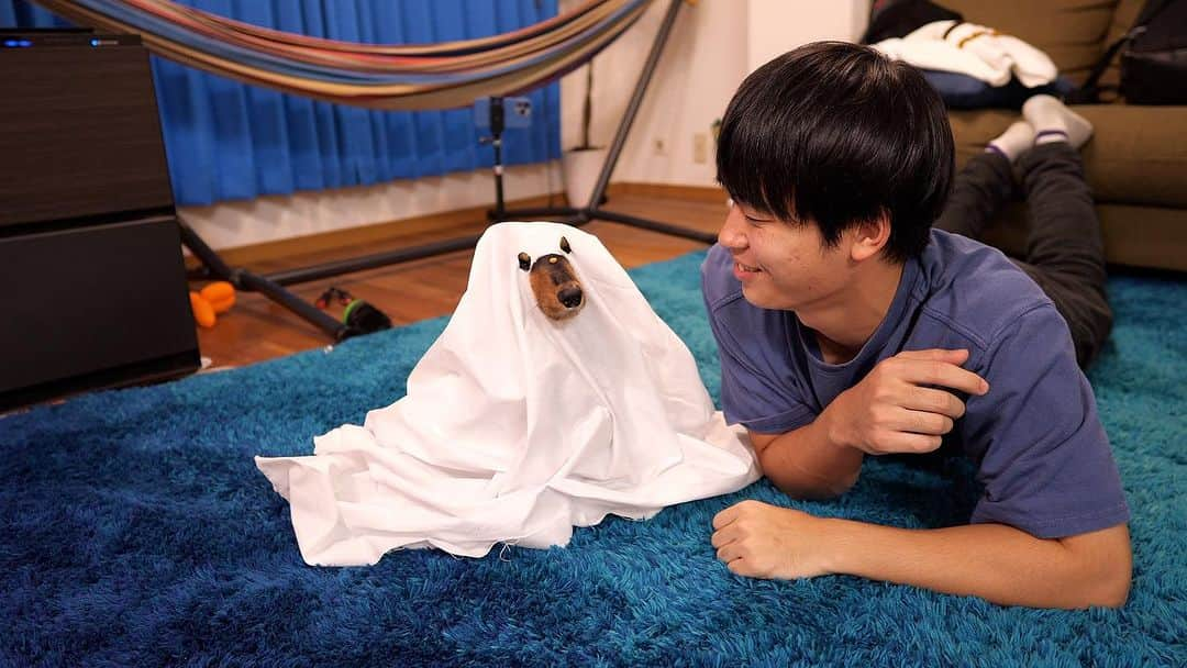 すしらーめん《りく》のインスタグラム：「ハッピーハロウィン👻 #halloween #ハロウィン」