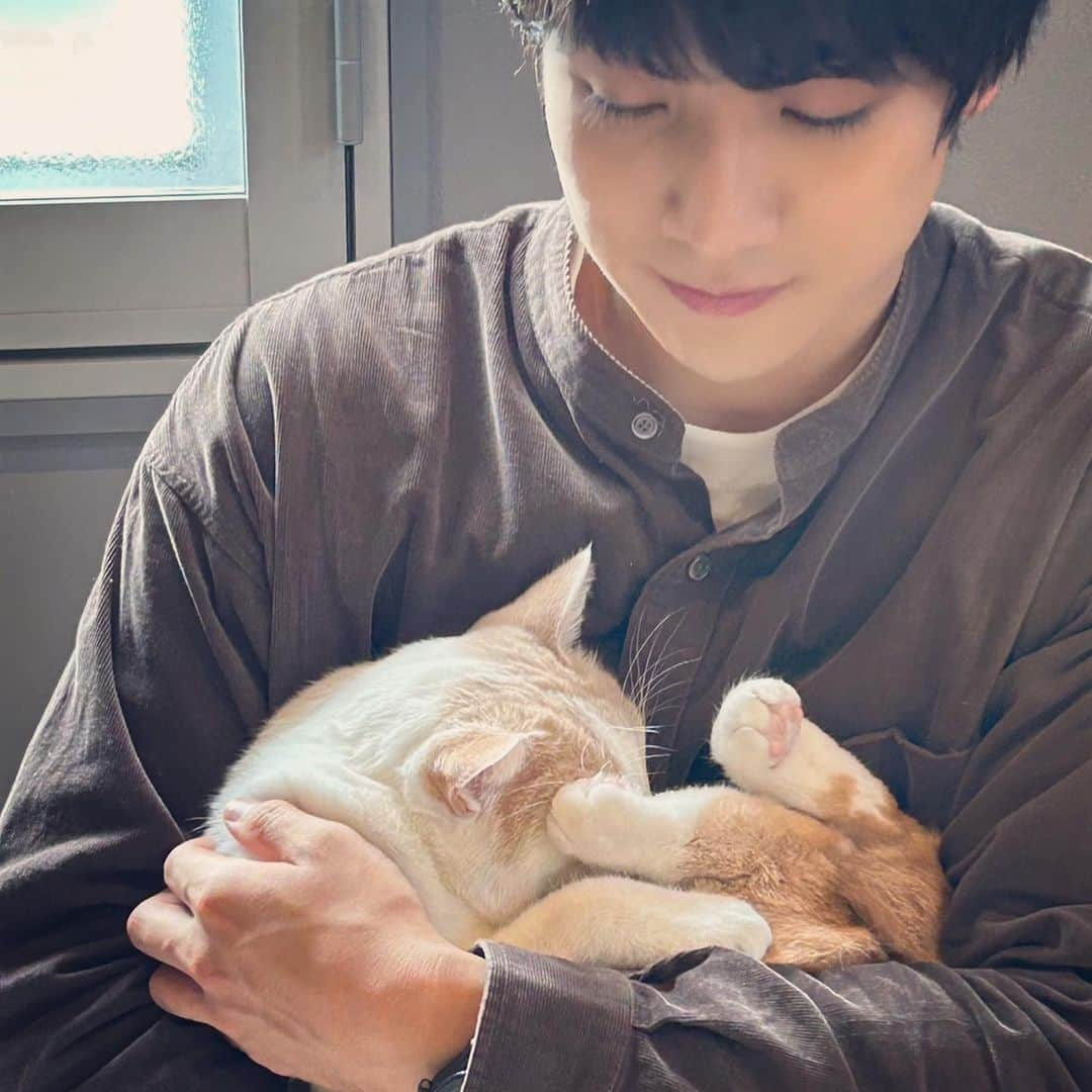 本田剛文さんのインスタグラム写真 - (本田剛文Instagram)「寒い季節だけ抱っこが許可される。  #猫 #猫のいる暮らし #ねこすたぐらむ  #秋 #季節 #寒くなってきた  #ボイメン #本田剛文」10月31日 18時34分 - boymen_honda