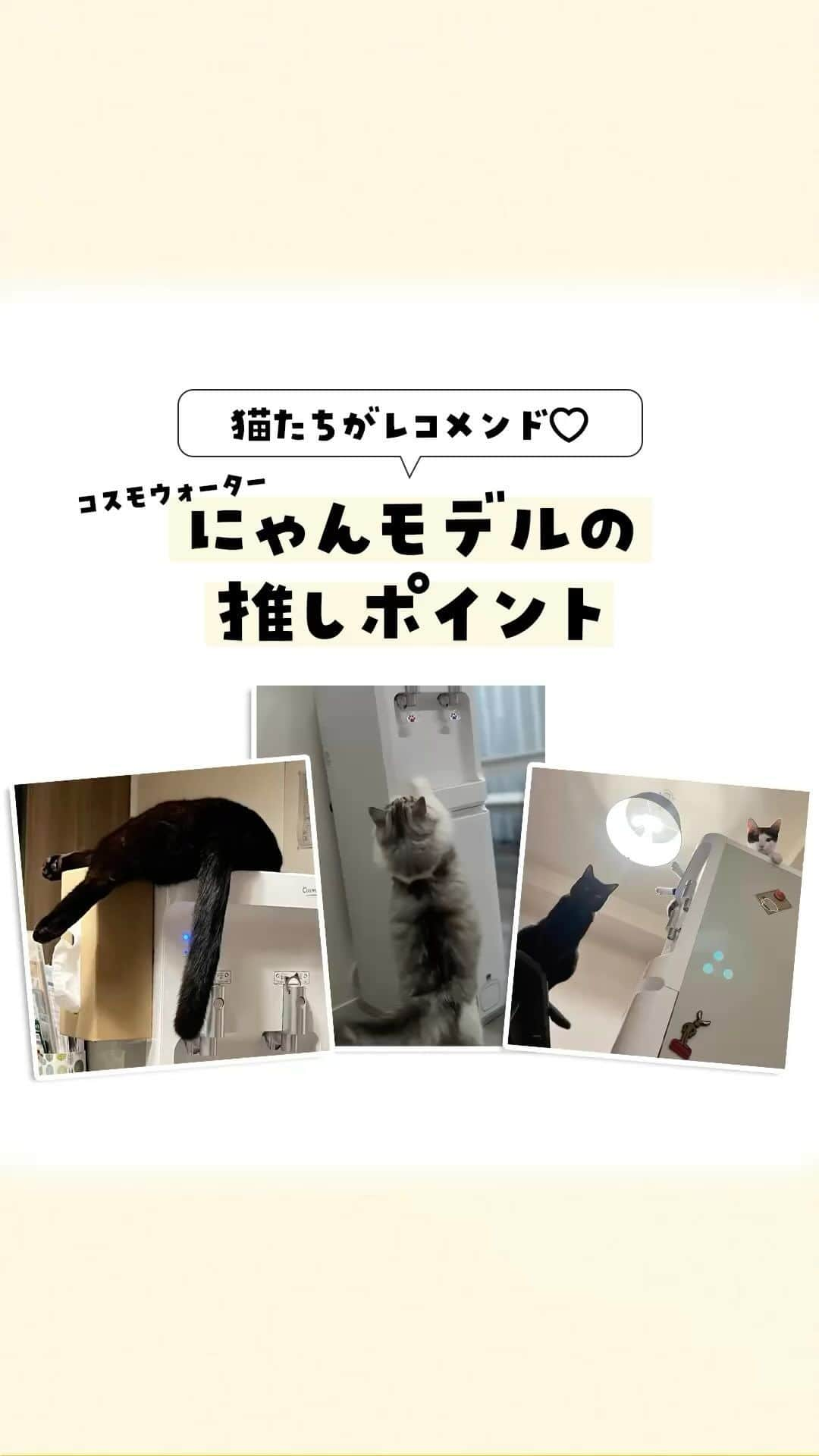 コスモウォーター【公式】のインスタグラム：「＼宣伝部長からにんげん達へ🐱／ にゃんモデルの推しポイント3選✨  コスモウォーターのにゃんモデルは、 猫好きさんだけでなく猫ちゃんからも大好評⁉  にゃんモデル宣伝部長🐈が猫目線で 推しポイントを発表します！  みなさまがタグ付けしてくださった猫ちゃんの お写真も一緒にご紹介😻  お写真をご投稿いただいたみなさま、 本当にありがとうございます✨  #コスモウォーター #にゃんモデル #コスモウォーターのある暮らし #ウォーターサーバー #ウォーターサーバーのある生活 #ウォーターサーバー検討中 #天然水 #美味しい水 #QOL向上 #生活の質 #ていねいな暮らし #シンプルな暮らし #漫画 #ねこ #猫 #暮らしのアイデア #猫動画 #漫画が読めるハッシュタグ #天然水 #smartプラスnext #にゃんモデル #猫好きな人と繋がりたい #ねこすたぐらむ #ねこ部 #猫のいる生活 #猫との時間 #猫とのくらし #猫との日常 #猫との日々 #猫グッズ」