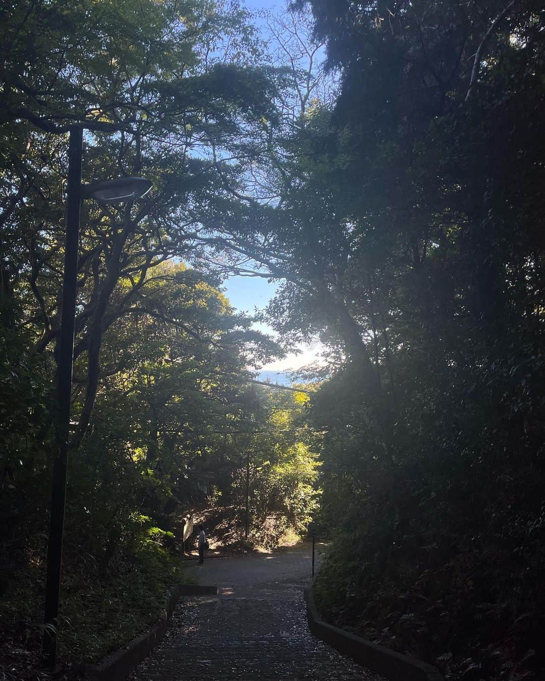 Rika Vanessaさんのインスタグラム写真 - (Rika VanessaInstagram)「昨日は鎌倉でハイキング&銭洗弁天へ⛩️✨☀️🌿  めちゃくちゃ気持ちのいい秋晴れで 頑張って登った後のおにぎりがあまりにも 美味しかった🍙🥹💕  むすび茶屋はイチオシのおにぎり屋さん🫶🏽  銭洗弁天は家の近くなのに中々いかないけど やっぱりパワースポット🪐💫  日曜日の楽しさを引きずって1日ハッピーだった✌🏽  "ここではないどこかにいきたいと、ずっと思っていた。「ここ」が嫌なのではない。 「ここ」がどんな場所であれ、「ここではないどこか」は、常に私を惹きつけてやまないのだ。"  江國香織「ここではないどこか」」10月31日 18時39分 - rikavanessa._