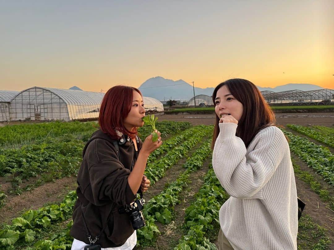 Aya（高本彩）のインスタグラム：「チームあまざけで原点回帰の旅へ来ております。  @_i.arisa_  @itadakido_amazake  #いただき燈#雲仙普賢岳#竹田農家#自然栽培#有機#農家」