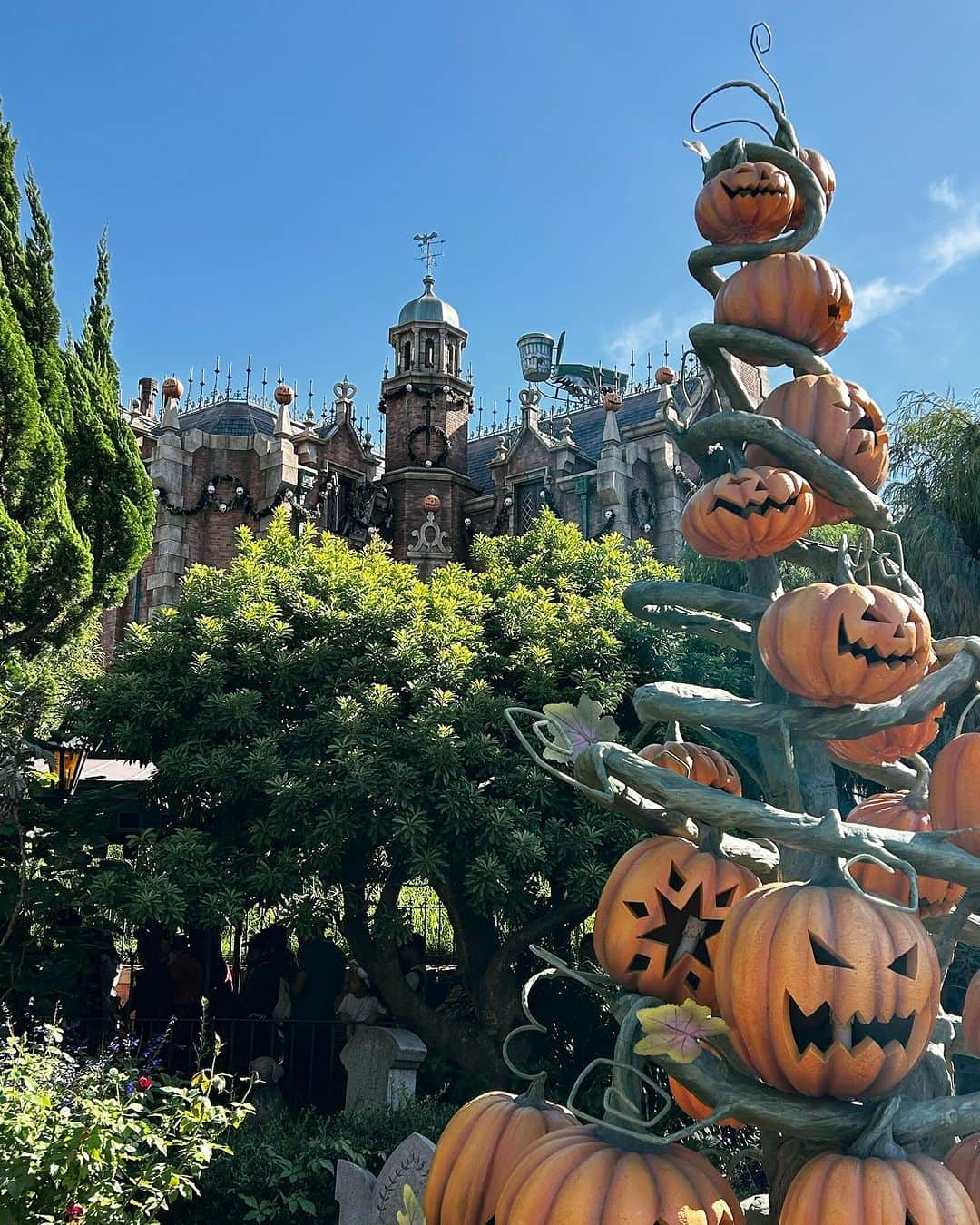 松川浩子のインスタグラム：「Happy Halloween 🎃   子どもが大きくなったら 仮装することもなくなって ちょっぴり寂しい。  とりあえず オレンジのカーディガンと ガイコツのピアスして 出社したけど 気づいた人も僅か。  そんなもんよね。。。  #ハロウィーン2024#関西ダービーもあるし#忙しい夜になりそうですね」