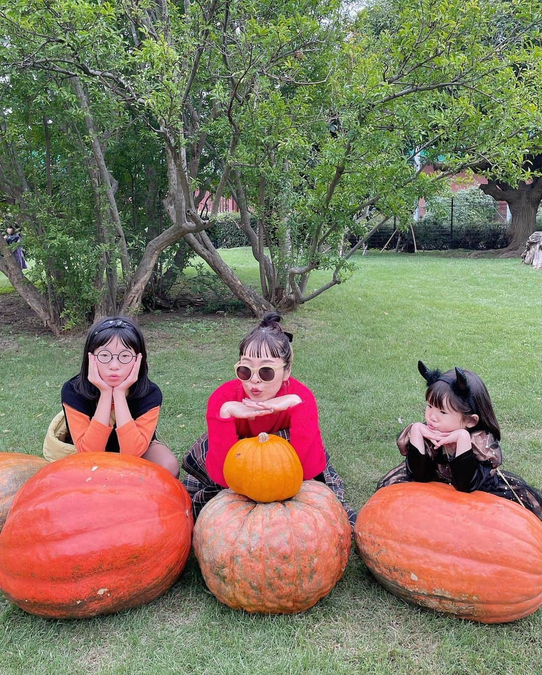 amigo.amigo.5205622さんのインスタグラム写真 - (amigo.amigo.5205622Instagram)「． 🎃🎃🎃🎃🎃🎃  #happyhalloween   👻👻👻👻👻👻  #夢の島熱帯植物館 で大きなカボチャが 置いてあったよ🤭  @yumenoshimatropicalgreenhouse   #ハロウィン #ハロウィン🎃  #Halloween #halloweenlife  #halloweenlover  #親子 #親子コーデ  #親子でおでかけ  #親子で楽しめる  #カボチャ #2023ハロウィン  #2023halloween  #新木場 #夢の島 #夢の島熱帯植物館  #shinkiba  #hugmug #ハグマグ  #姉妹ママ  #家族でお出かけ  #子供とお出かけ部  #子供とおでかけ  #子供と遊ぶ  #ハロウィンイベント  #ハロウィンイベント🎃」10月31日 19時08分 - amigo.amigo.5205622