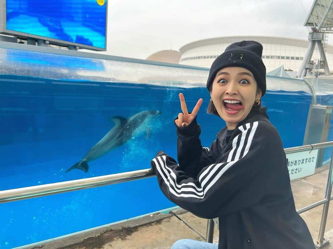 富久美玲さんのインスタグラム写真 - (富久美玲Instagram)「🐬」10月31日 19時01分 - mirei_official