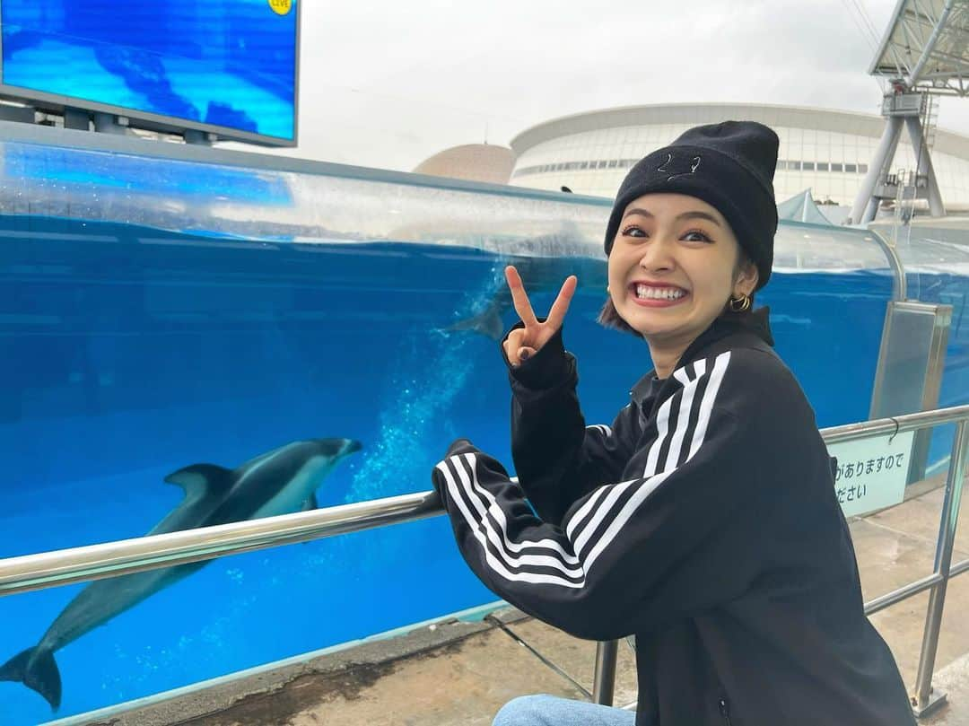 富久美玲さんのインスタグラム写真 - (富久美玲Instagram)「🐬」10月31日 19時01分 - mirei_official