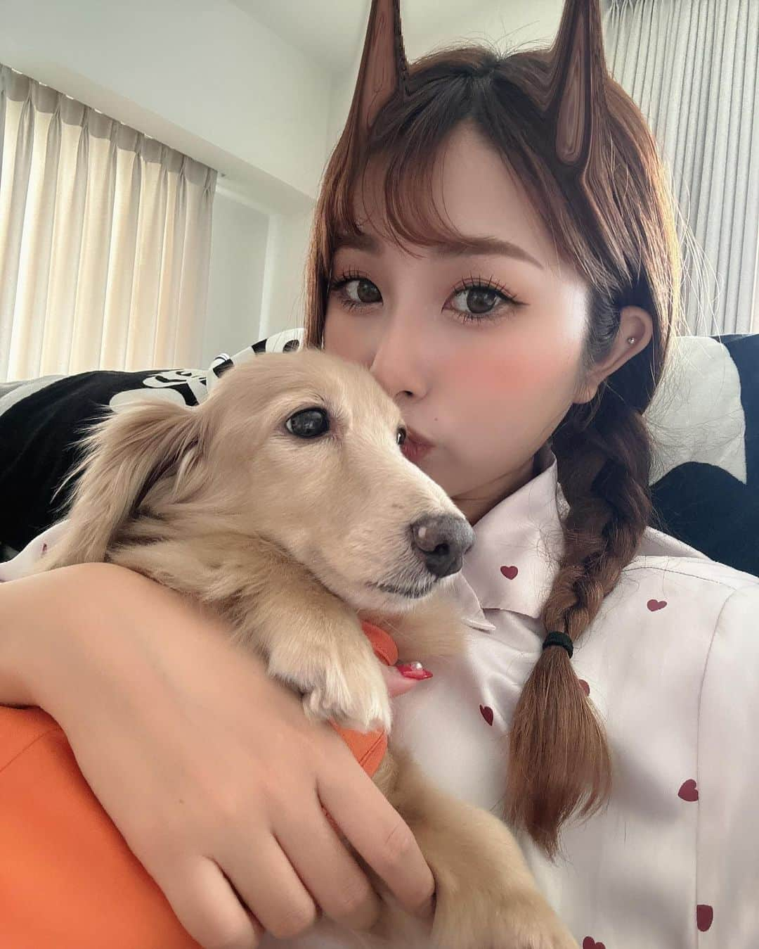 青野美沙稀さんのインスタグラム写真 - (青野美沙稀Instagram)「あまりにも可愛い🥹❤️  #愛犬 #zack #ザック #ハロウィン犬 #愛犬家 #愛犬との暮らし  #愛犬との時間 #犬スタグラム」10月31日 19時17分 - misaki_aono