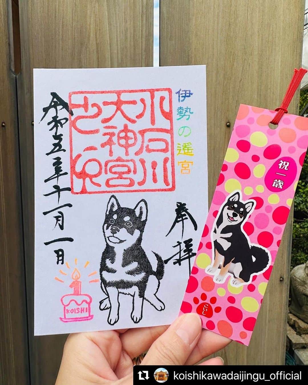 津久井智子さんのインスタグラム写真 - (津久井智子Instagram)「#Repost @koishikawadaijingu_official with @use.repost ・・・ 小石川大神宮です。  11月1日（水）より頒布いたします月替わりこいし御朱印のご案内です。  こいしのお誕生月の落款と、上手におすわりをしているこいしを消しゴムはんこ作家の津久井智子さんに彫っていただきました。  11月3日（金）に1歳の誕生日を迎える看板犬こいしを記念して、栞🔖を作成致しました。 こいし御朱印を受けて頂いた方にお渡しいたします。 ※数に限りがございますので、無くなり次第終了とさせていただきます🙇  こいしの出勤日は @koishi_mofumofuのストーリーでご確認ください。 お天気や体調で急な欠勤になる場合もございます。  皆様のご参拝を心よりお待ちしております。  #小石川大神宮#伊勢の遙宮 #お伊勢さん#御朱印 #文京区神社#神明造 #東京御朱印巡り#御朱印好きな人と繋がりたい #小石川大神宮御朱印#御朱印ガール #限定御朱印#カラフル御朱印 #消しゴムハンコ#11月御朱印 #津久井智子#こいし御朱印 #看板犬#小石川大神宮こいし #犬の御朱印#柴犬御朱印 #黒柴#黒豆柴#柴犬好きと繋がりたい #shrine#shiba」10月31日 19時13分 - tomokotsukui