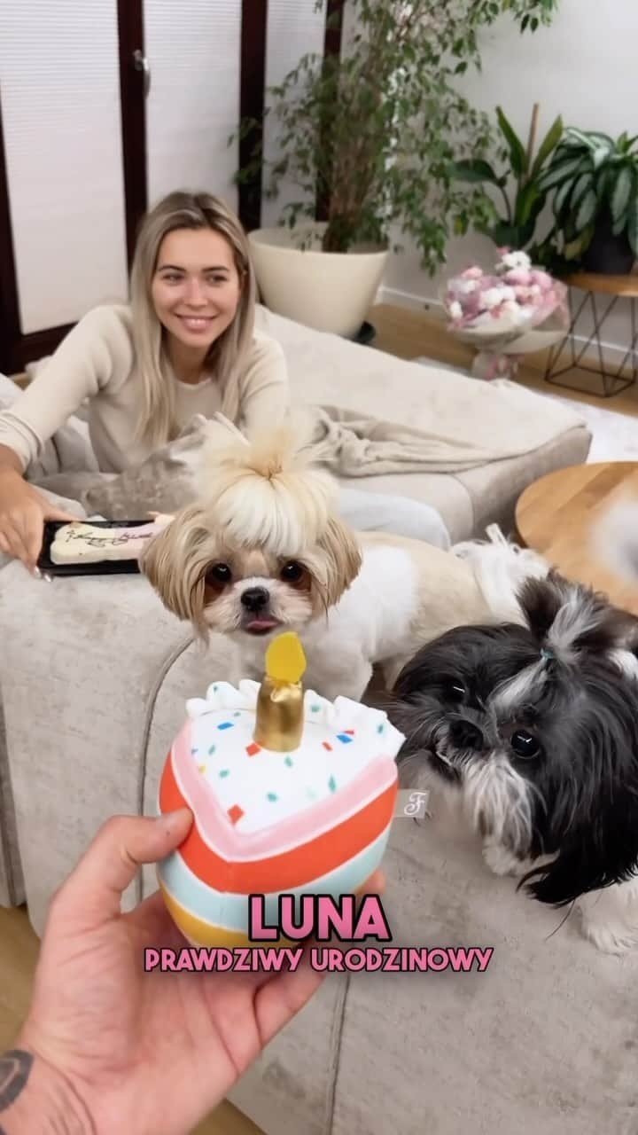 SANDRA KUBICKAのインスタグラム：「HAPPY BIRTHDAY LUNA 🐶🎂 no cóż.. może kiedyś dojrzeje do posiadania rodzeństwa 😂 dziękujemy za cudowne prezenty @royalpuppy.pl 💛 Best in the game!   [prezent]」