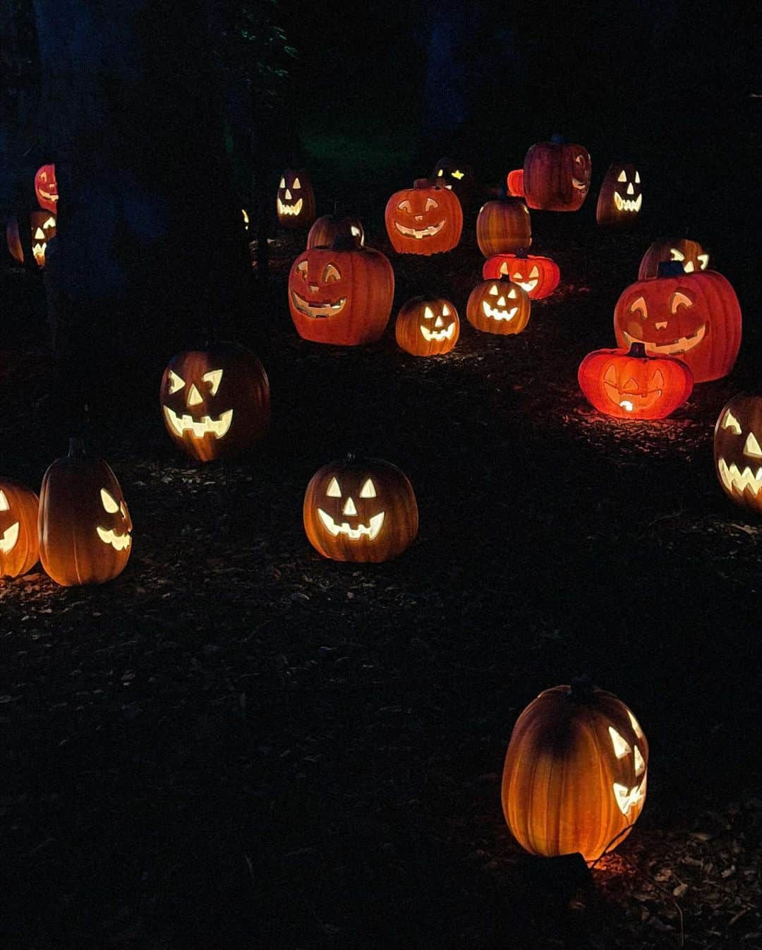 ジュリー・サリニャーナさんのインスタグラム写真 - (ジュリー・サリニャーナInstagram)「Matisse’s first pumpkin patch. 🥹🎃🫶🏽  #baby #firstpumpkinpatch #halloween」11月1日 5時32分 - sincerelyjules