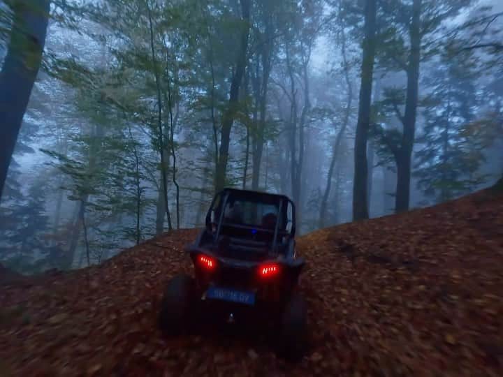 goproのインスタグラム：「It's spooky season in the Austrian forests 👻🍂 GoPro Subscriber @yoshi.shift took his FPV drone + GoPro into the fog for this $1,000 GoPro Award.  @polarisrzr @goprode #GoProDE #GoPro #HyperSmooth #GoProFPV #Halloween」