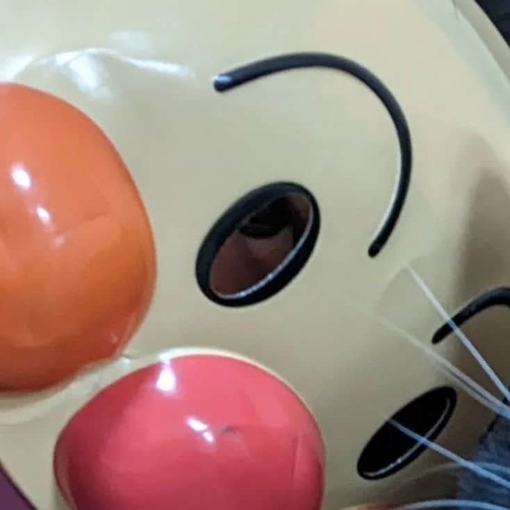 もんたの日常さんのインスタグラム写真 - (もんたの日常Instagram)「#ハロウィン なのでもちろんコスプレするよね。  #ハロウィンコスプレ #もんたの日常  #猫好きさんと繋がりたい  #dwarfcat #catstagram #cat #ジト目 #猫」10月31日 21時05分 - montanonichijo