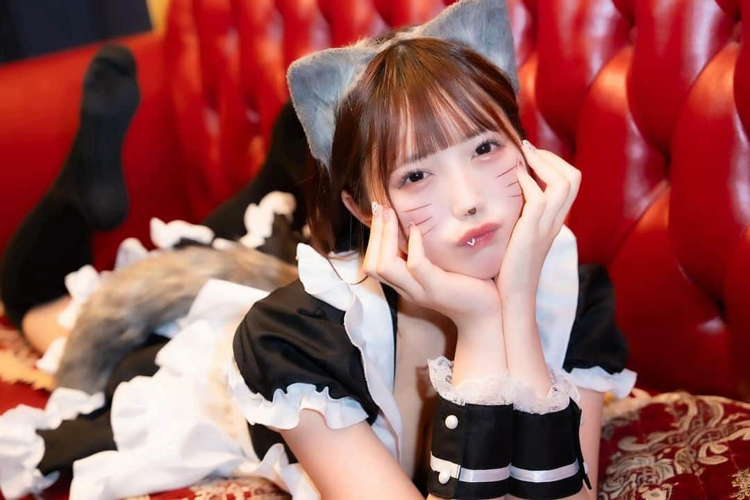 桃姫もえかさんのインスタグラム写真 - (桃姫もえかInstagram)「ぼくに気をつけて？🩸🐺  #ハロウィン #はろうぃんコスプレ #コスプレ  #コスプレ撮影  #メイド #ウルフ女子 #ウルフ  #無加工 #撮影  #メイド #メイド服  #コスプレ#ポートレート撮影 #撮影データ  #へああれんじ #アイドル #アイドル衣装 #コンカフェ #cosplay #ハロウィンコスプレ #ハロウィン  #アイドル好きと繋がりたい #雰囲気好きな人いいね  #笑顔が一番 #02 #l4l  #ootd 	#instagood	#fashion 	#selfie」10月31日 21時07分 - moeka_141221